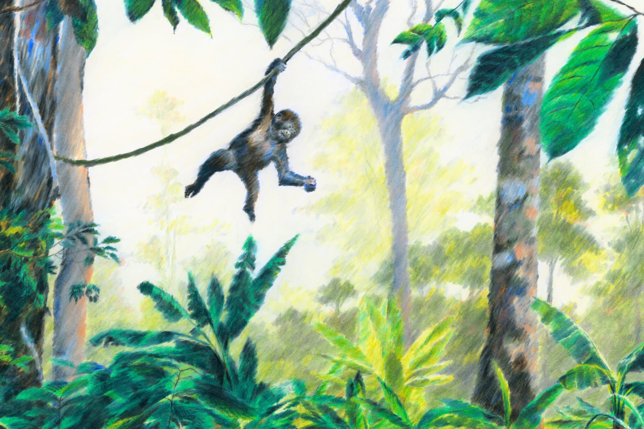 The Quest to Save One Baby Gorilla From an Uncertain Fate