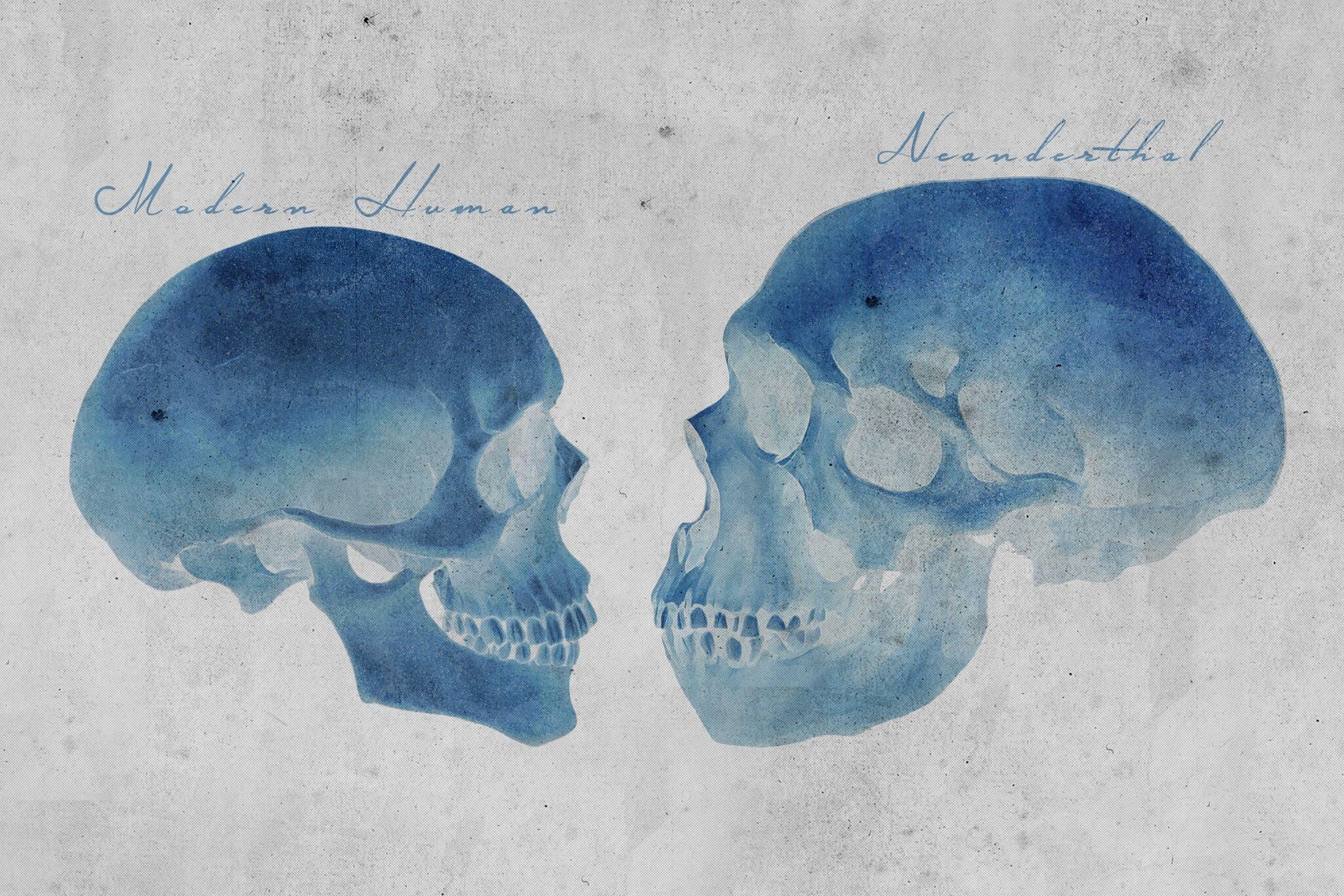 What Your DNA Reveals About the Sex Life of Neanderthals