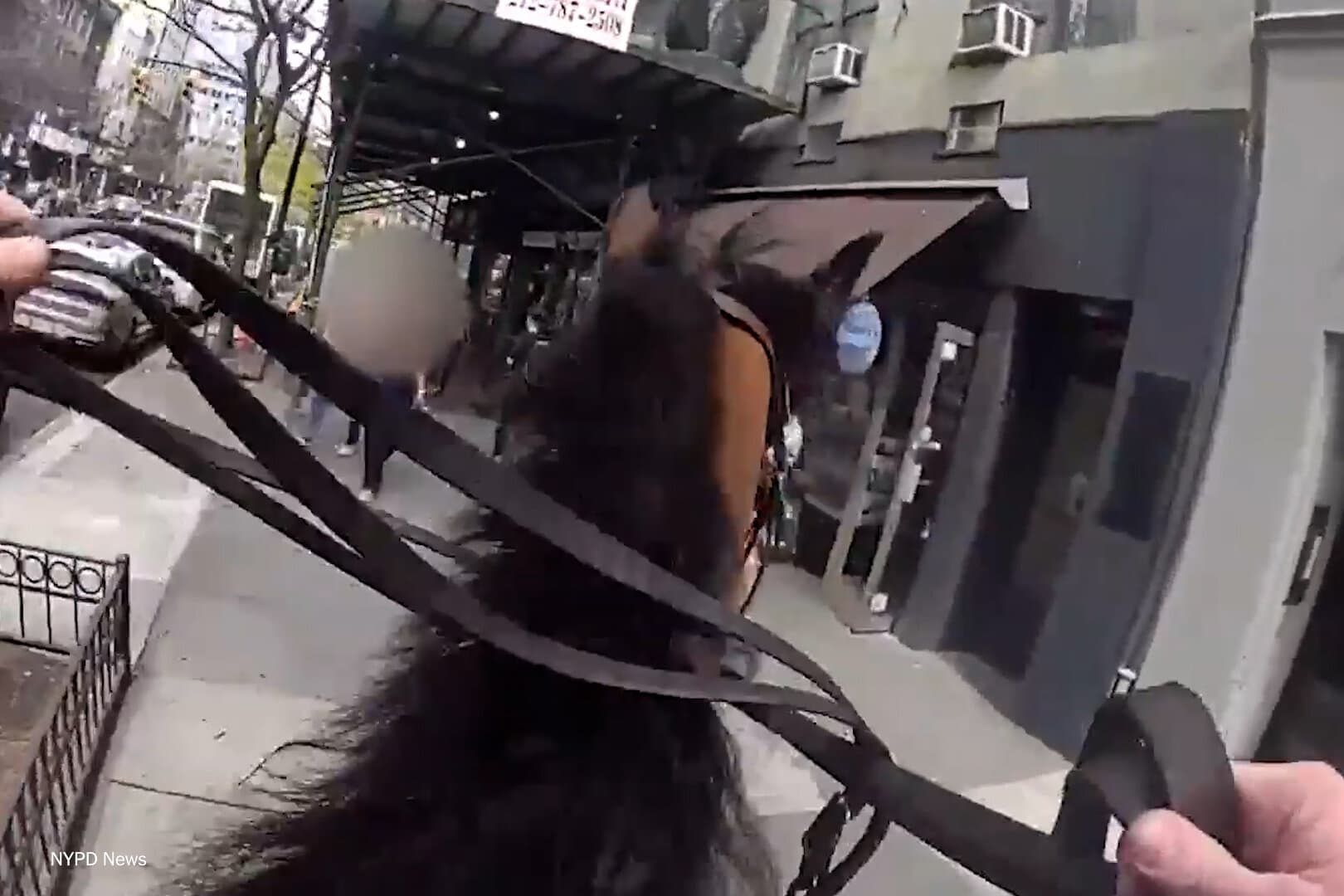 An Arrest in the Streets of New York, on Horseback