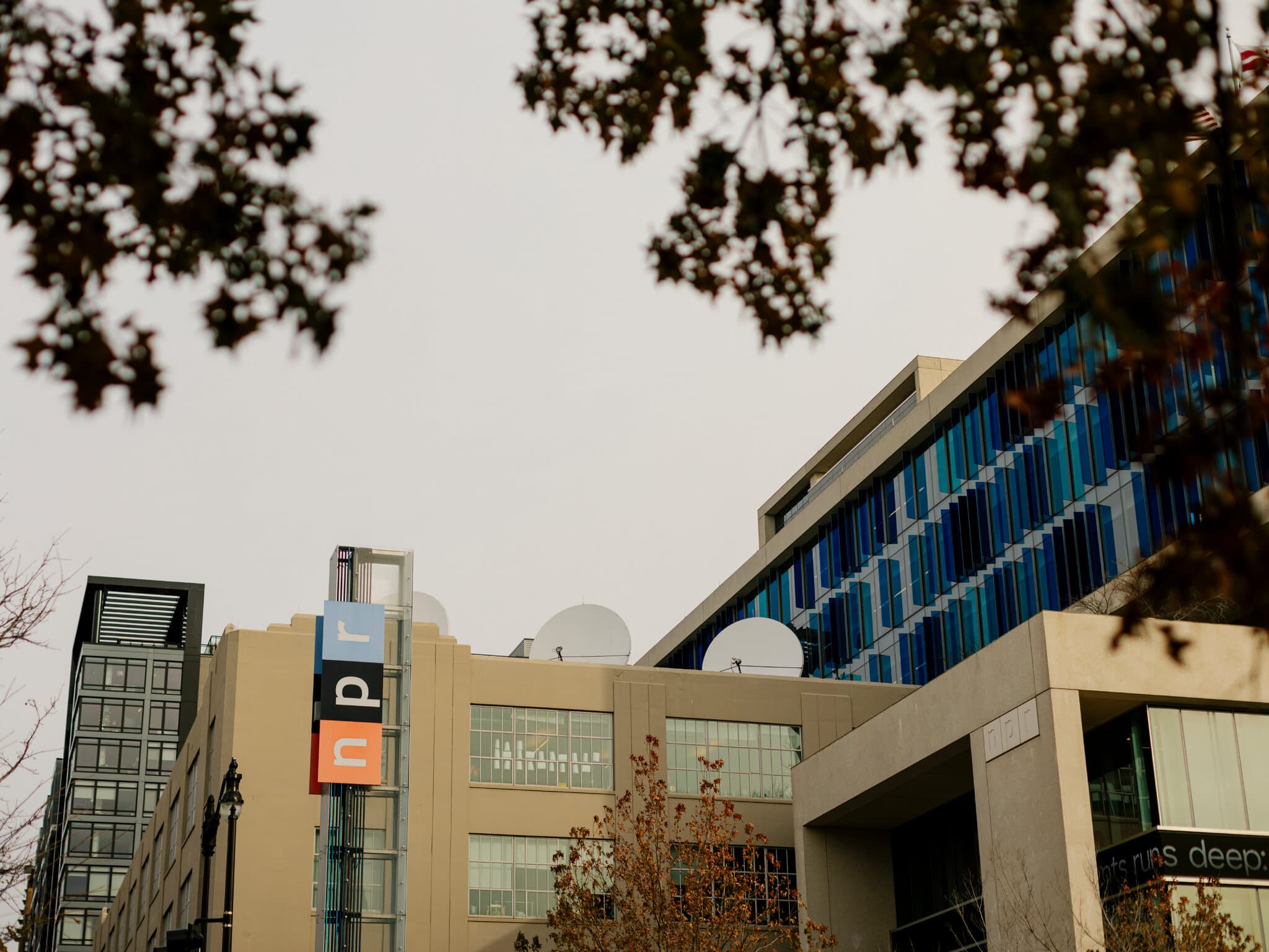 NPR Podcast Host Exits Amid Workplace Investigation