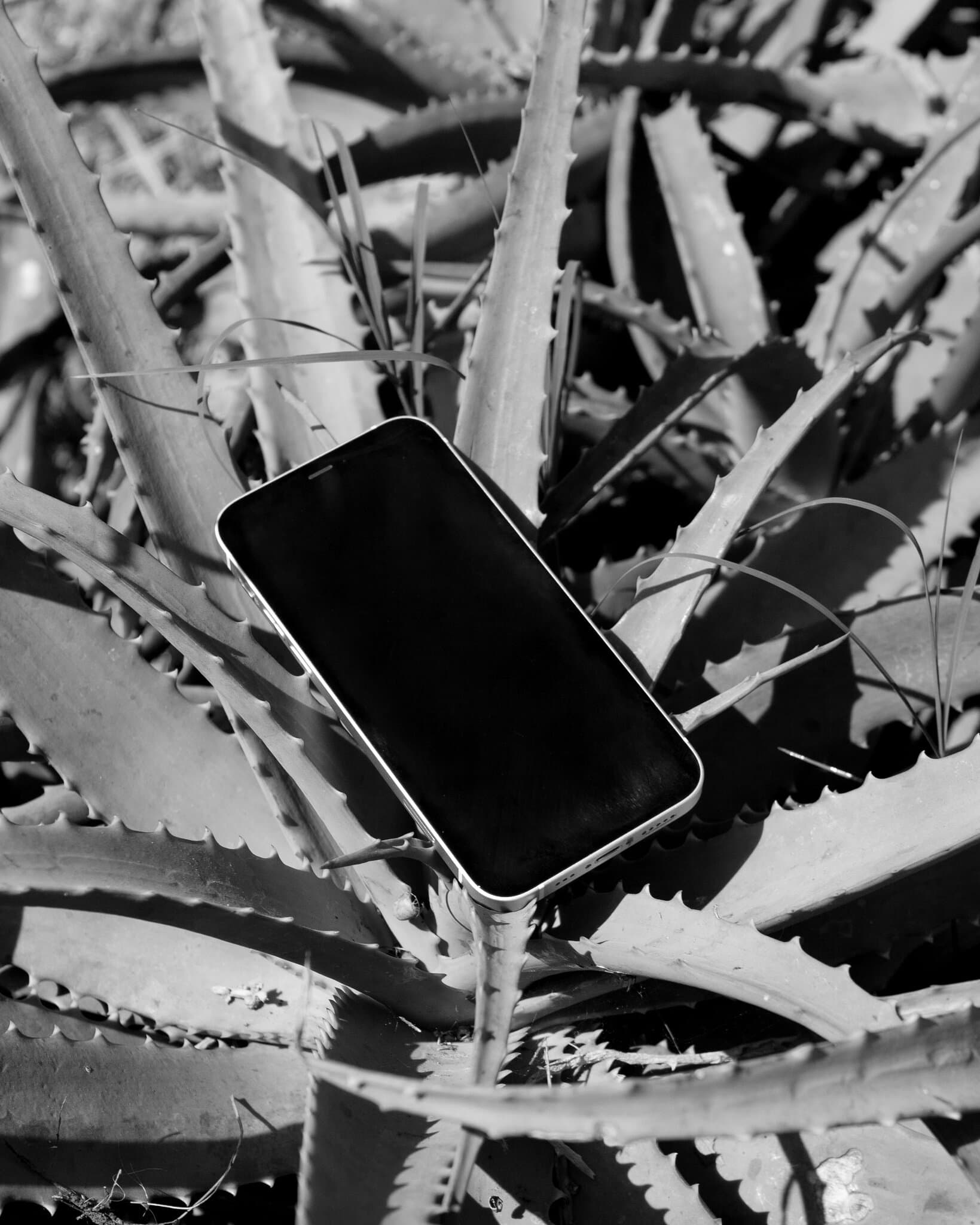 You Should Be Skeptical of the TikTok Deal