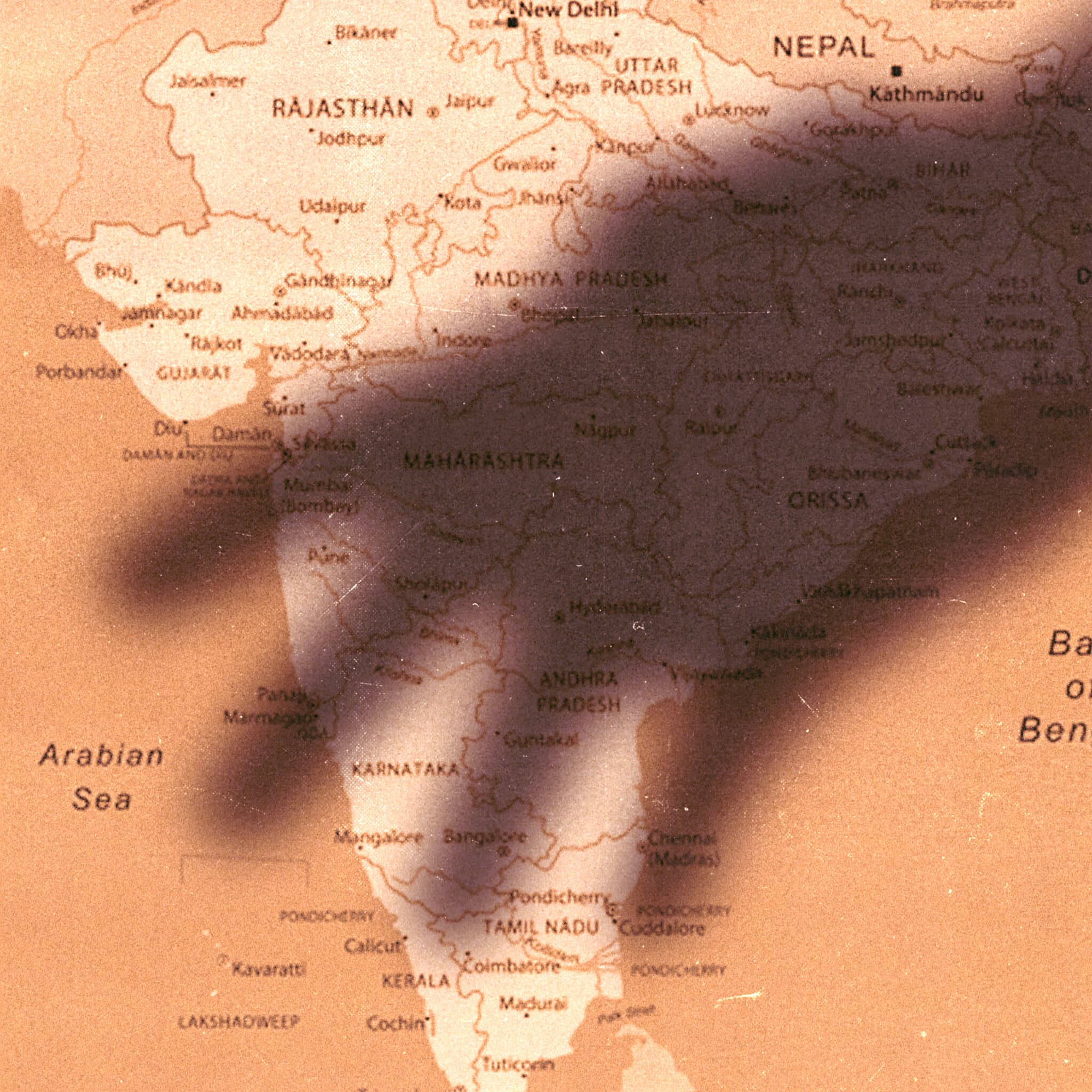 Youth Hostels, Blood Banks, Yoga: How One Far-Right Network Spread Across the World