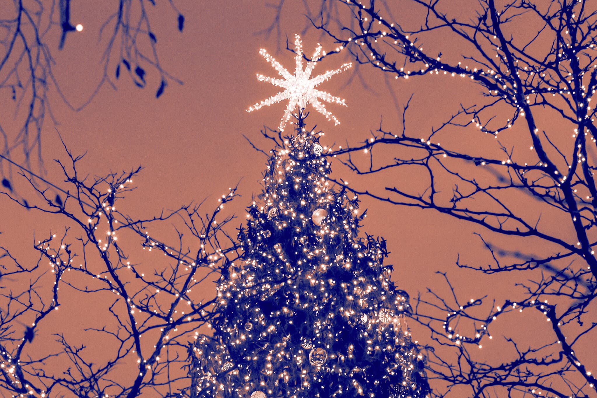 ‘A Hard Time We Had of It’