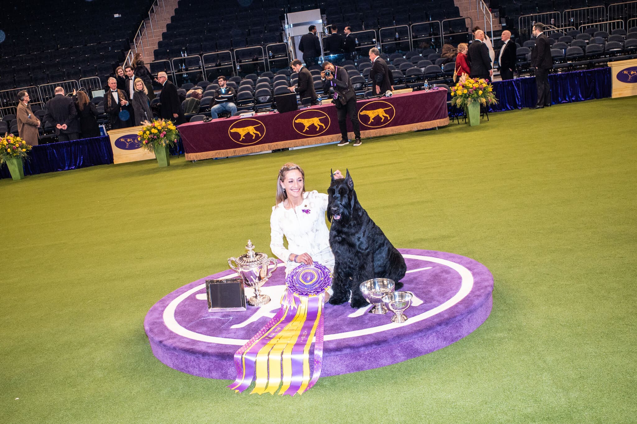 How to Watch the 2026 Westminster Dog Show