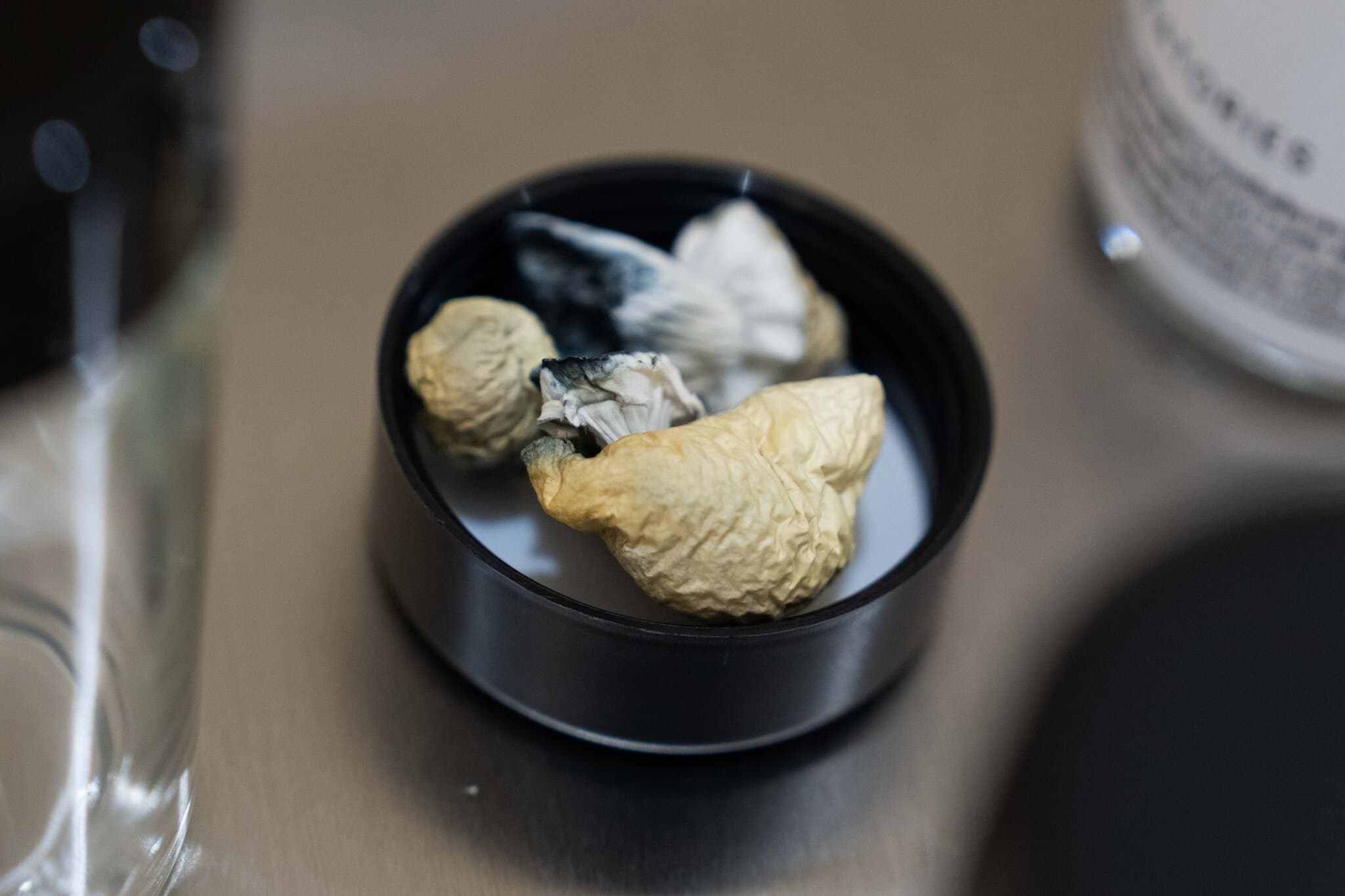 Trump Expected to Loosen Restrictions on Psychedelic Drugs