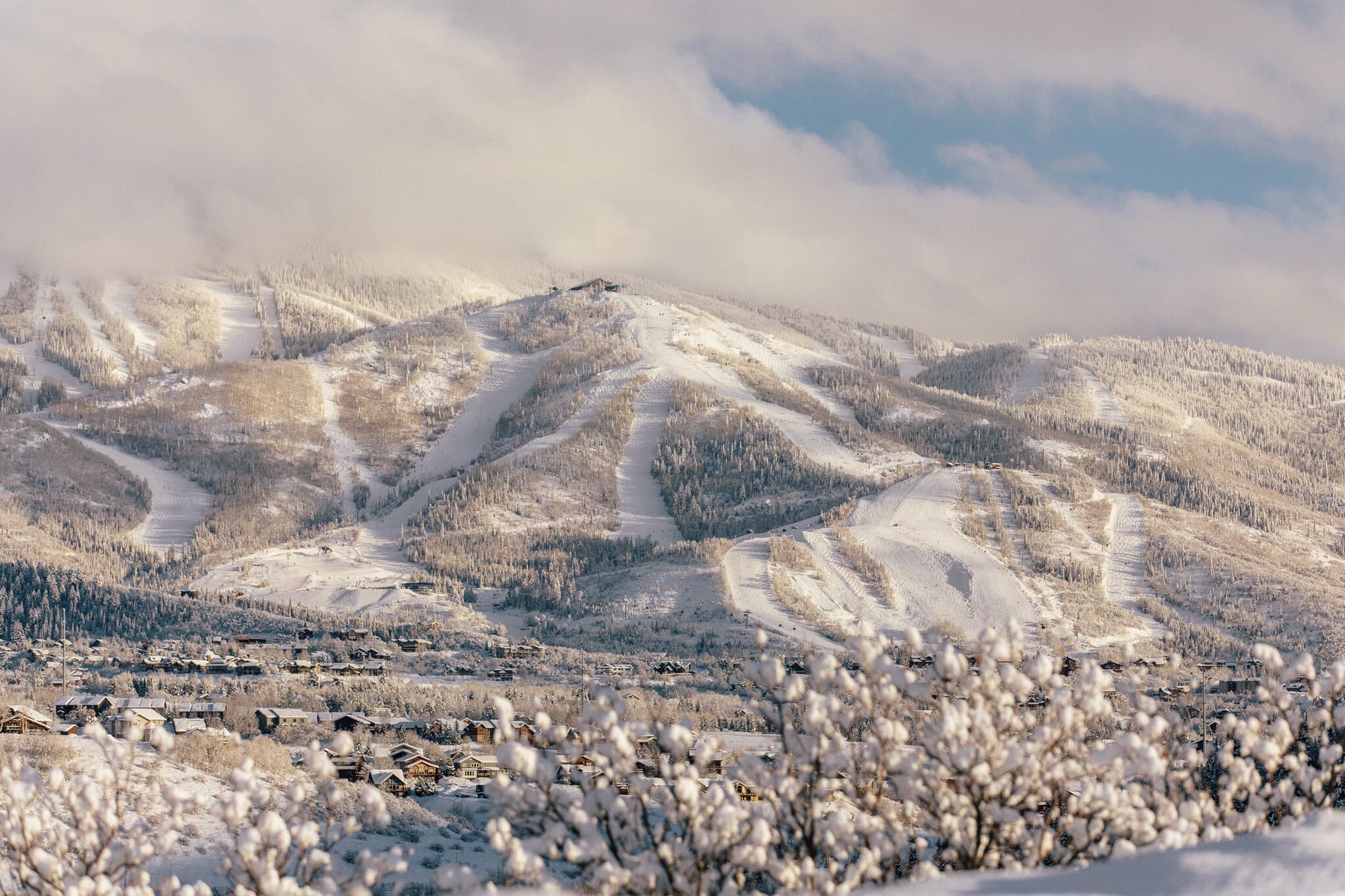 Four Killed in Plane Crash Near Steamboat Springs, Colo.