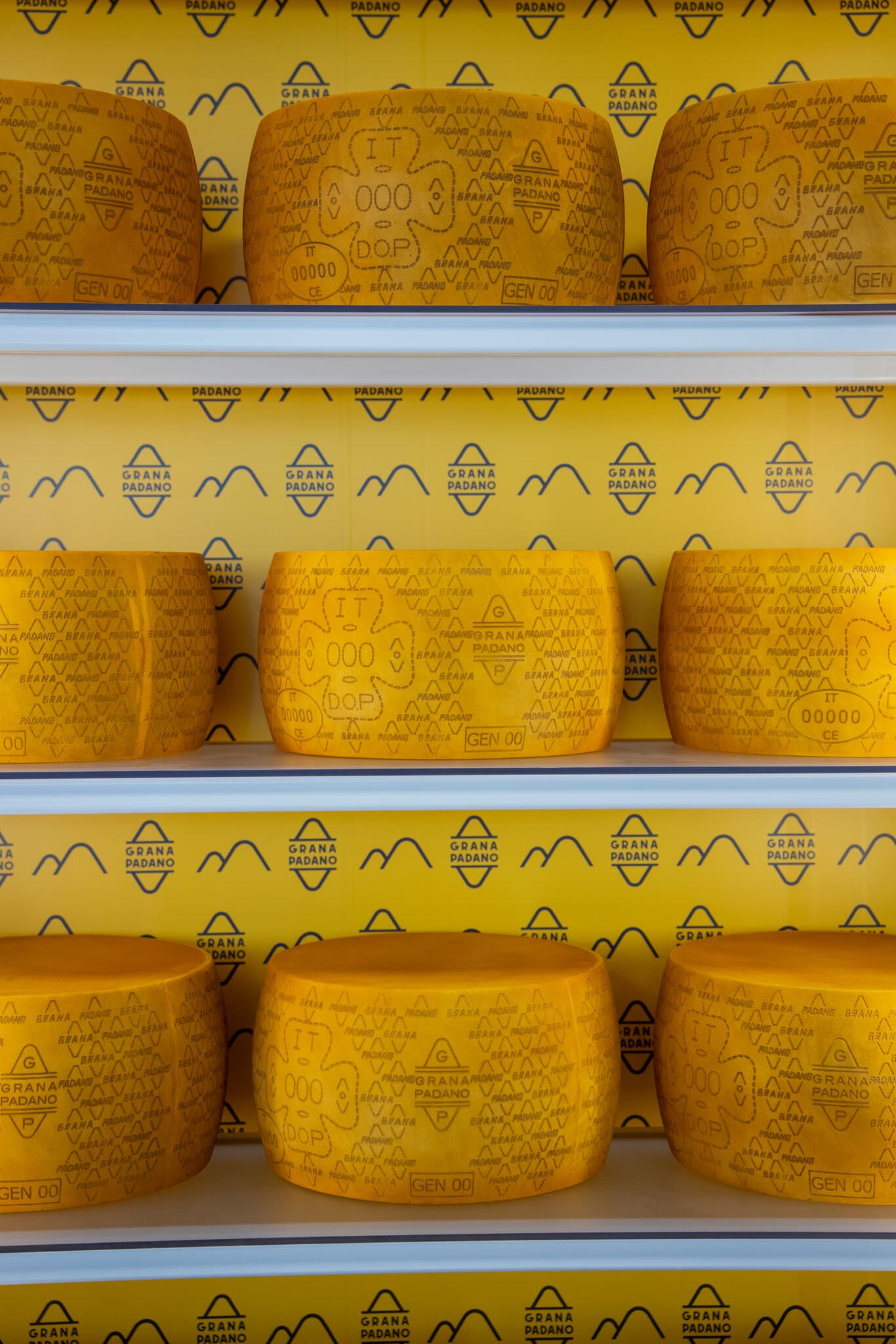 Shredding Isn’t Just for Skiers at the Winter Olympics