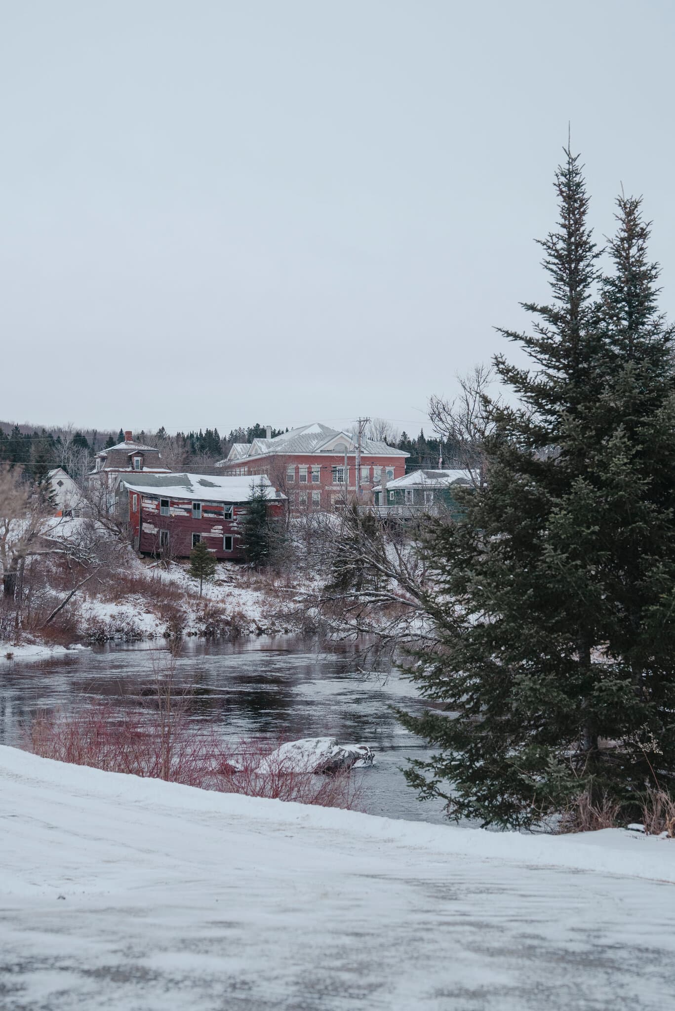 Border Patrol Shoots Armed Person Near Canadian Border, Authorities Say