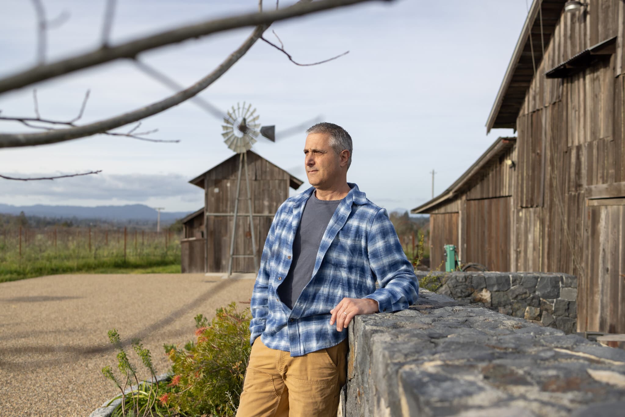 Tariffs and American Wine: Additional Costs, Export Trouble and Hostility