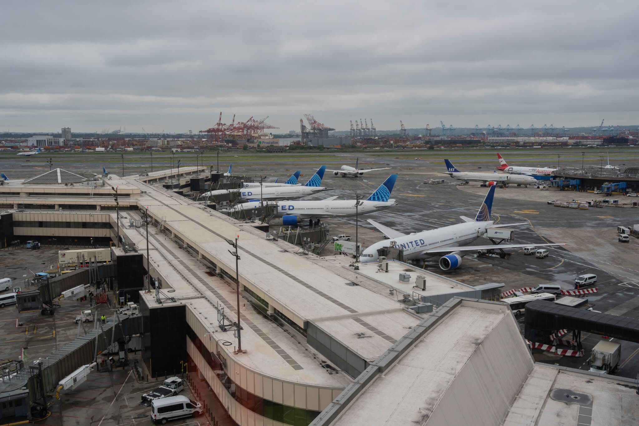 Serial Stowaway Is Said to Be Arrested After Sneaking Onto a Plane Again