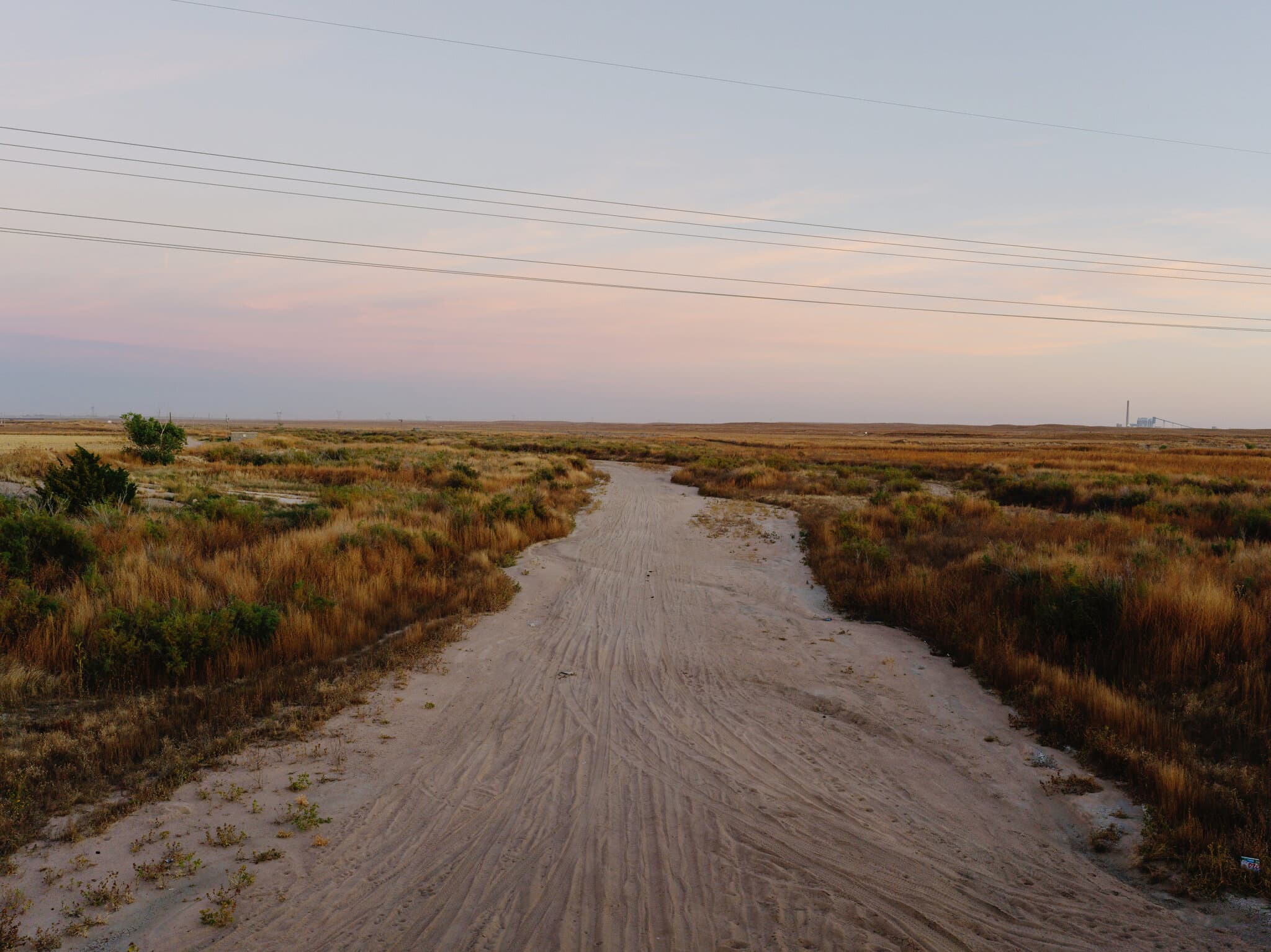 Nature Report, Killed by Trump, Is Released Independently