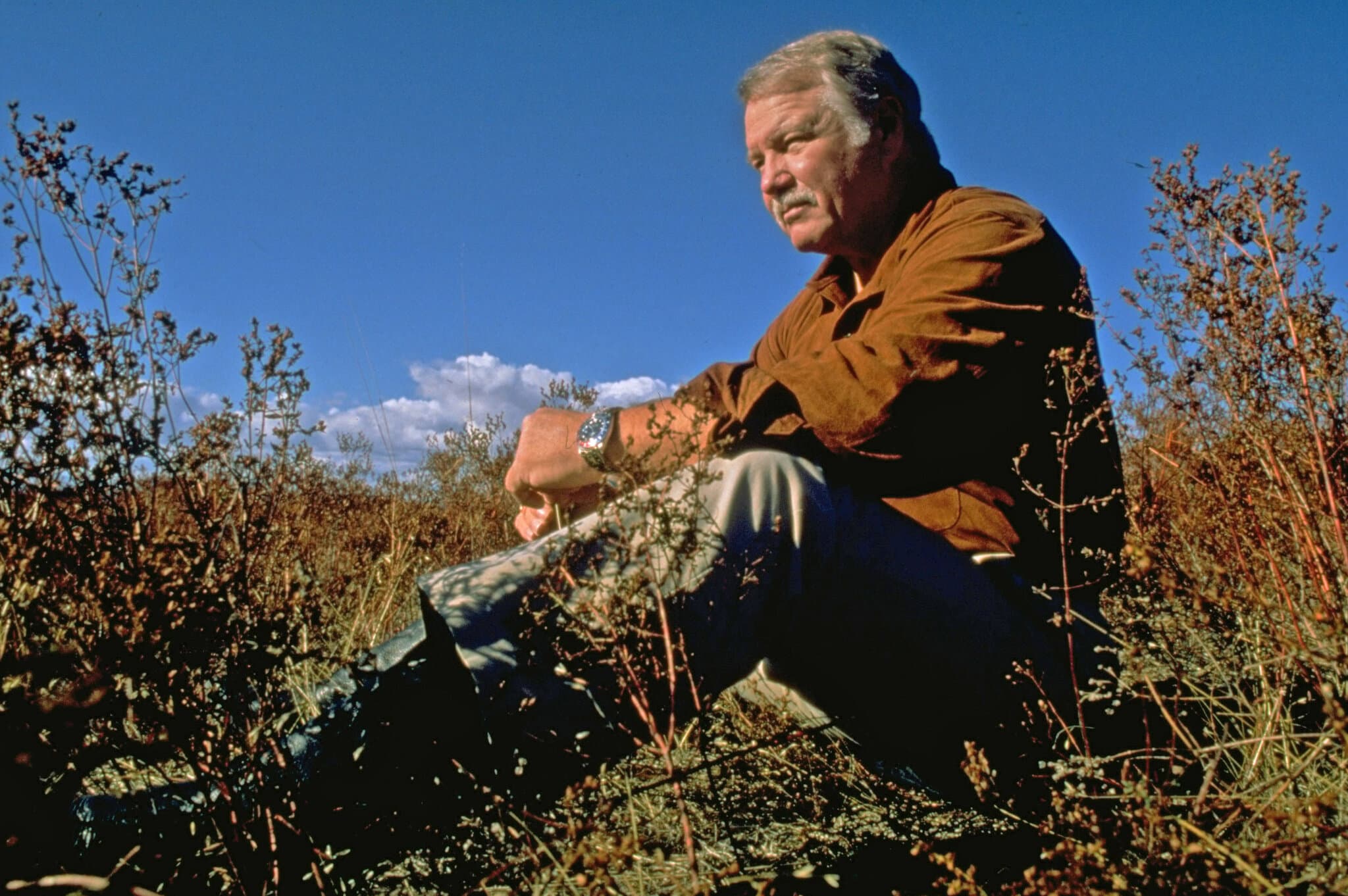 Bo Gritz, Vietnam Veteran Called a Real-Life Rambo, Dies at 87