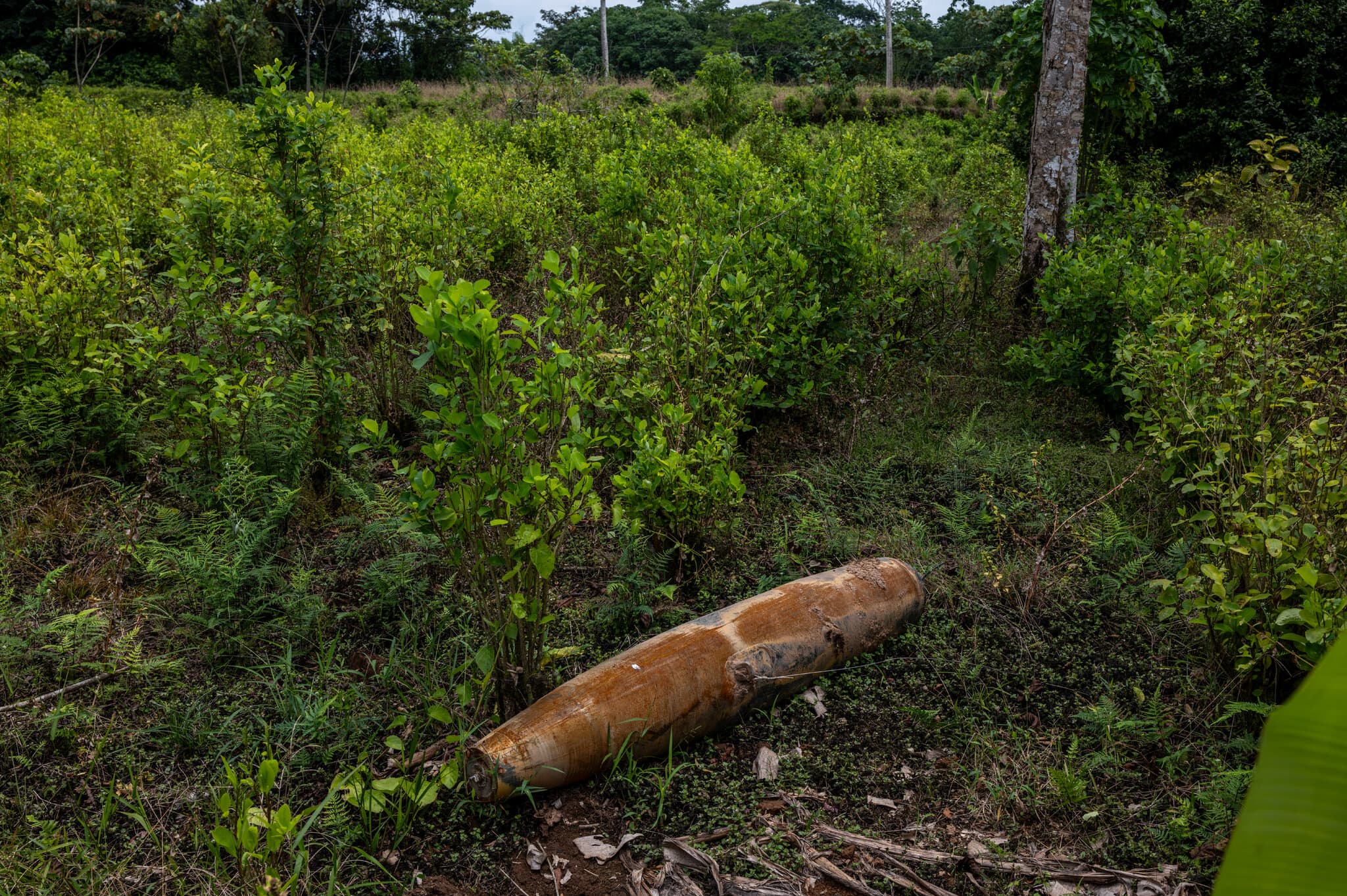 An Unexploded Bomb on a Colombian Farm Leads to a Diplomatic Clash