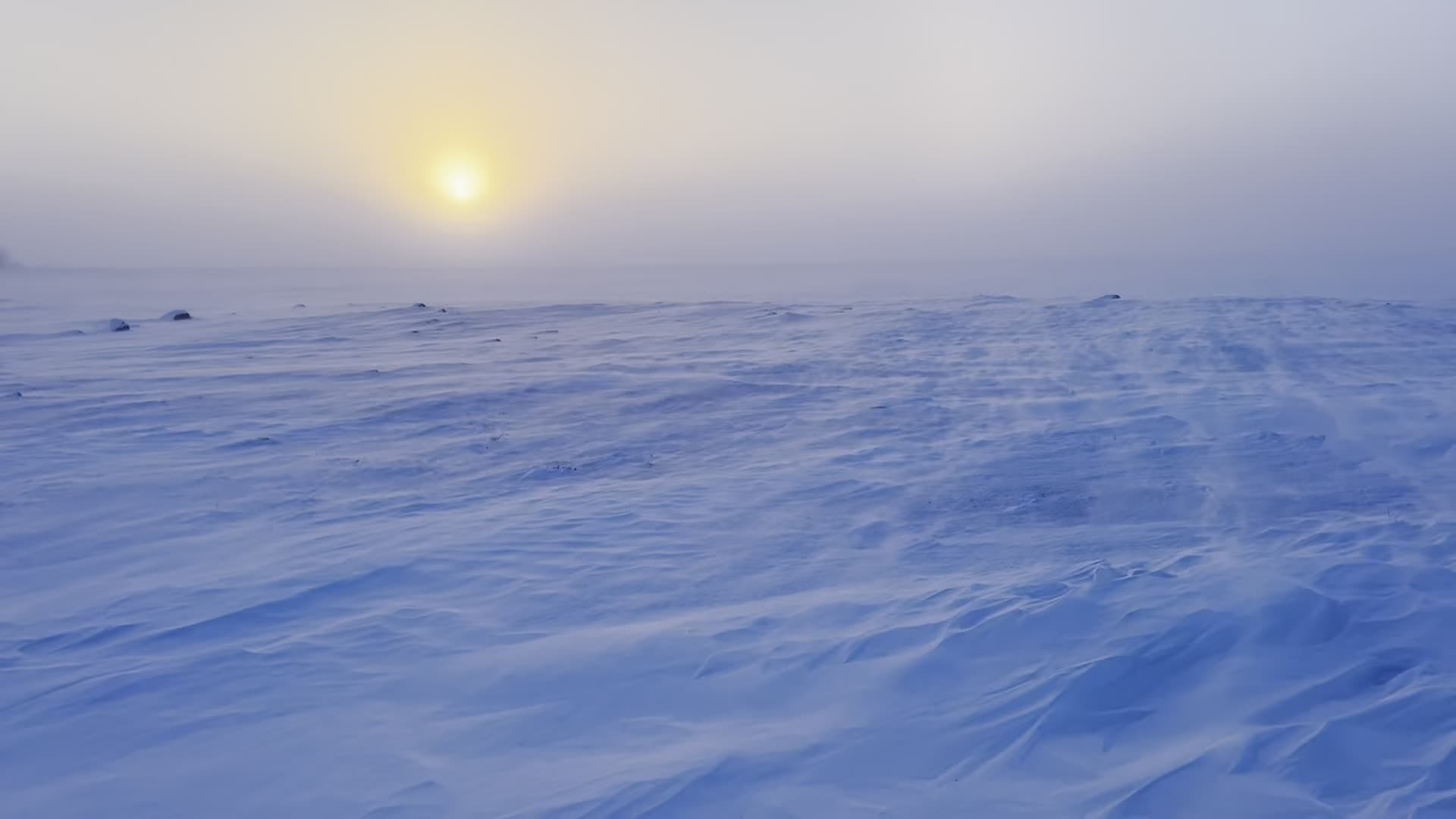 In Canada’s Frozen North, With Canada’s Frozen Soldiers