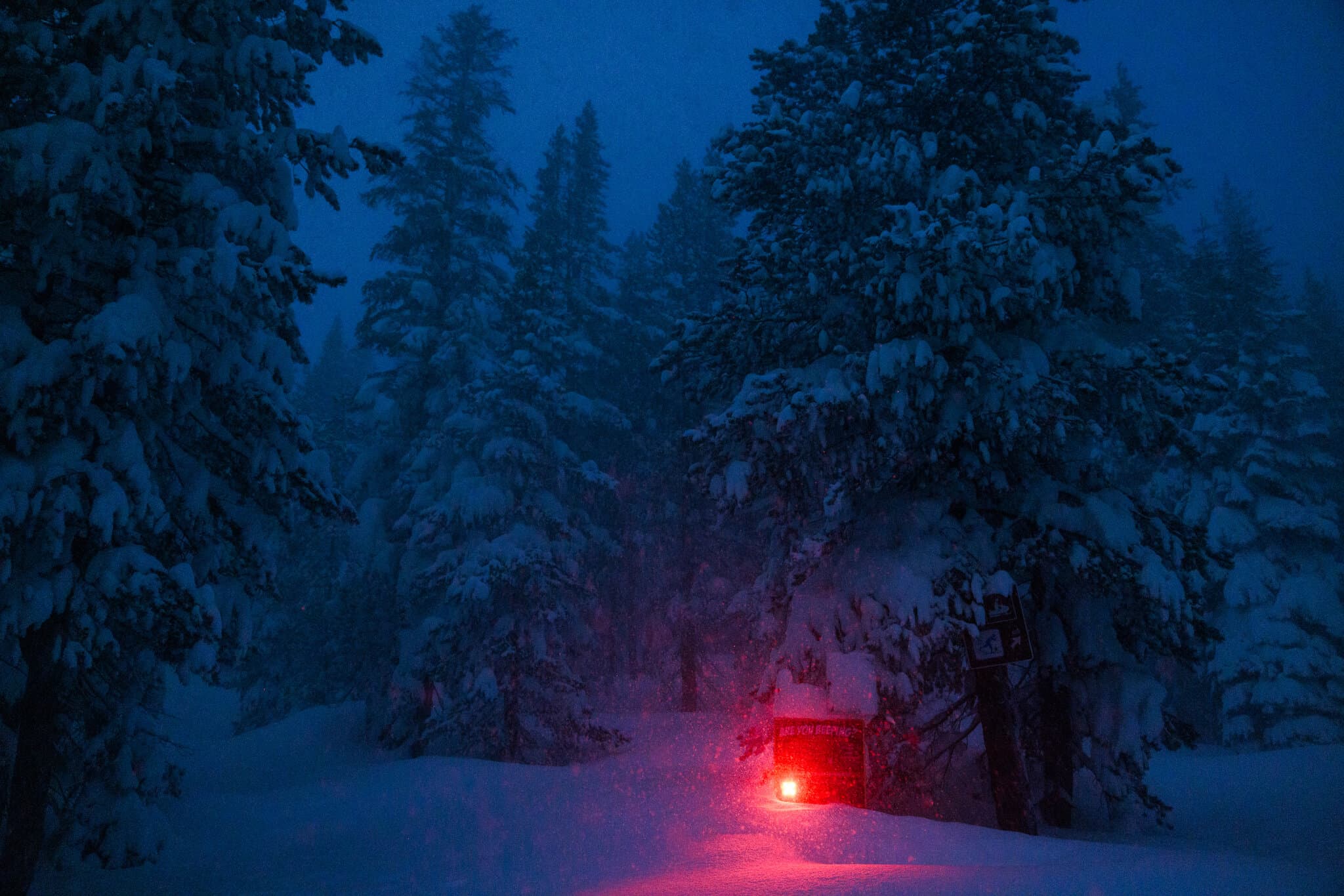 After Avalanche Warnings, a Sierra Nevada Tragedy