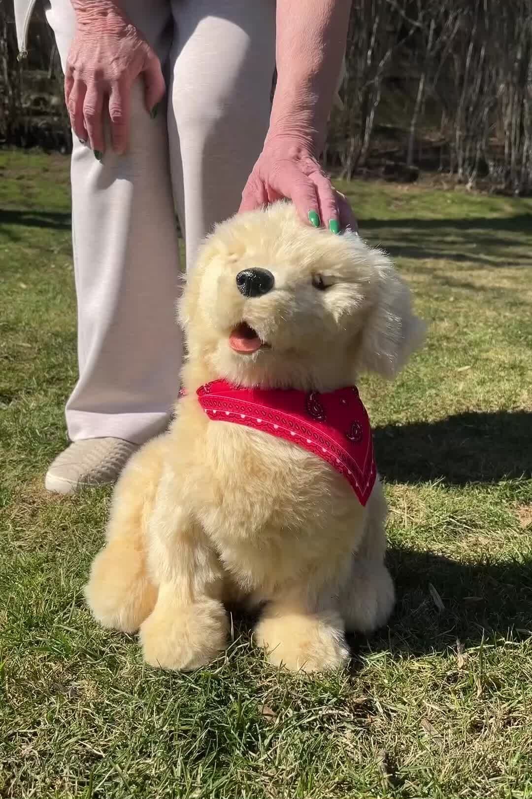 How ‘Age Tech’ Might Help You Grow Old at Home