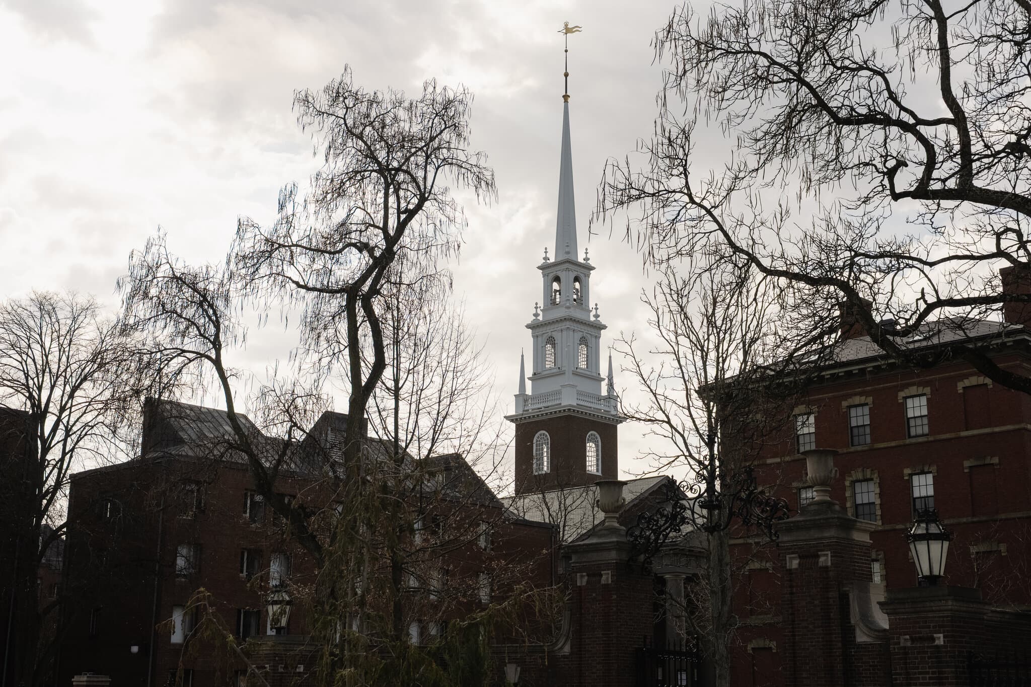 Epstein Craved Harvard Connections. Many There Were Eager to Help.