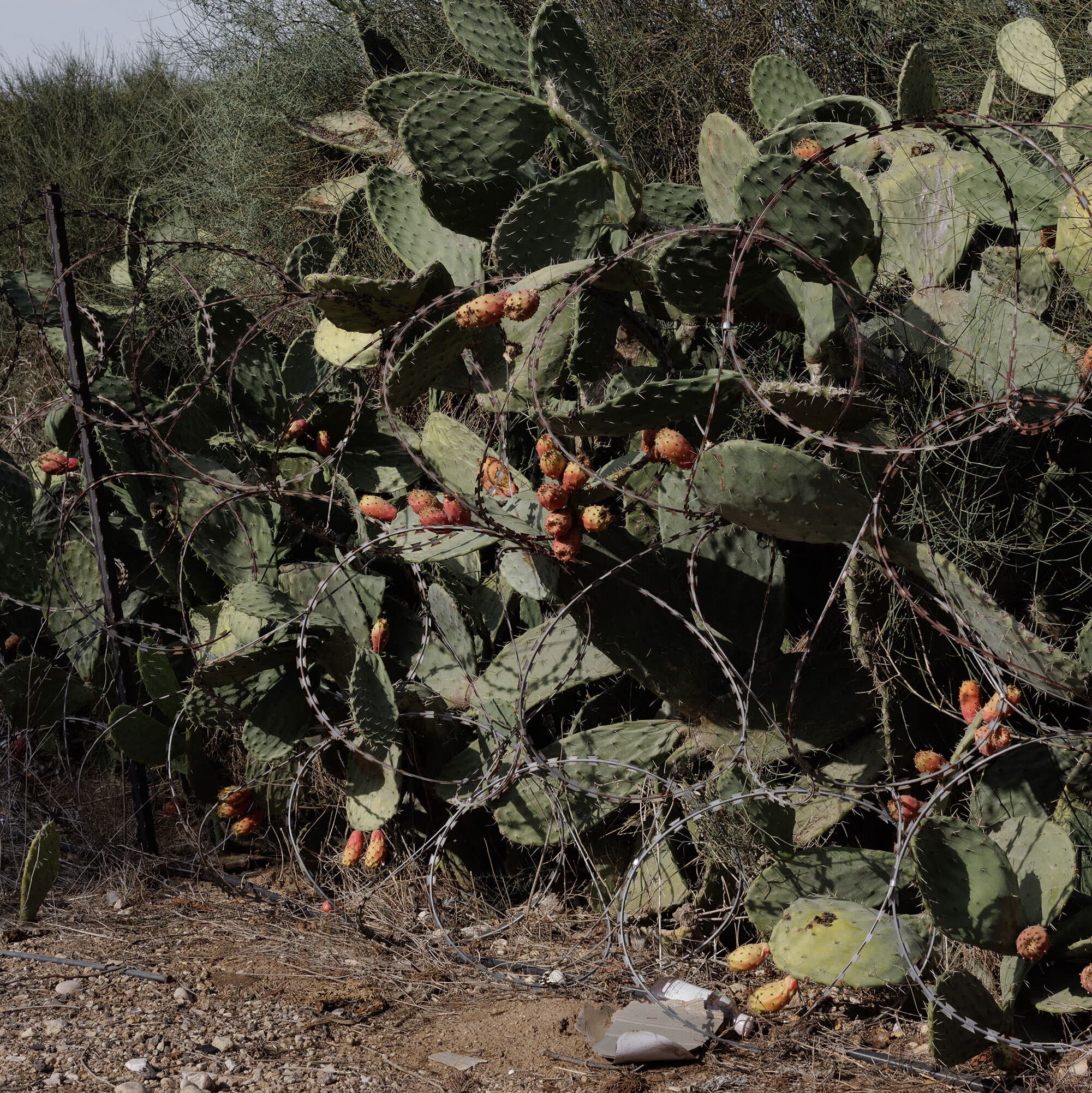 The Fire in the West Bank Is Burning Hotter, Out of Sight