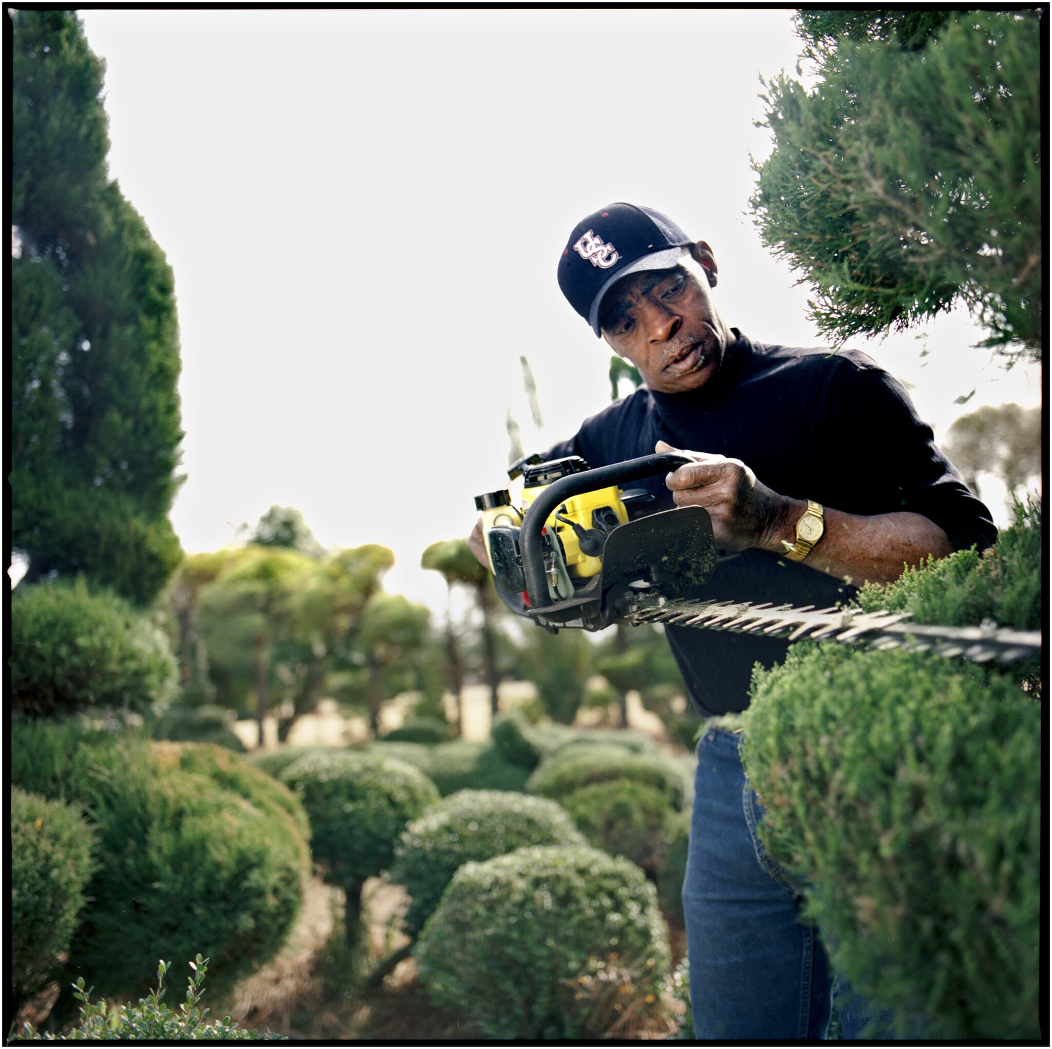 Pearl Fryar, a Picasso of Plants, Dies at 86