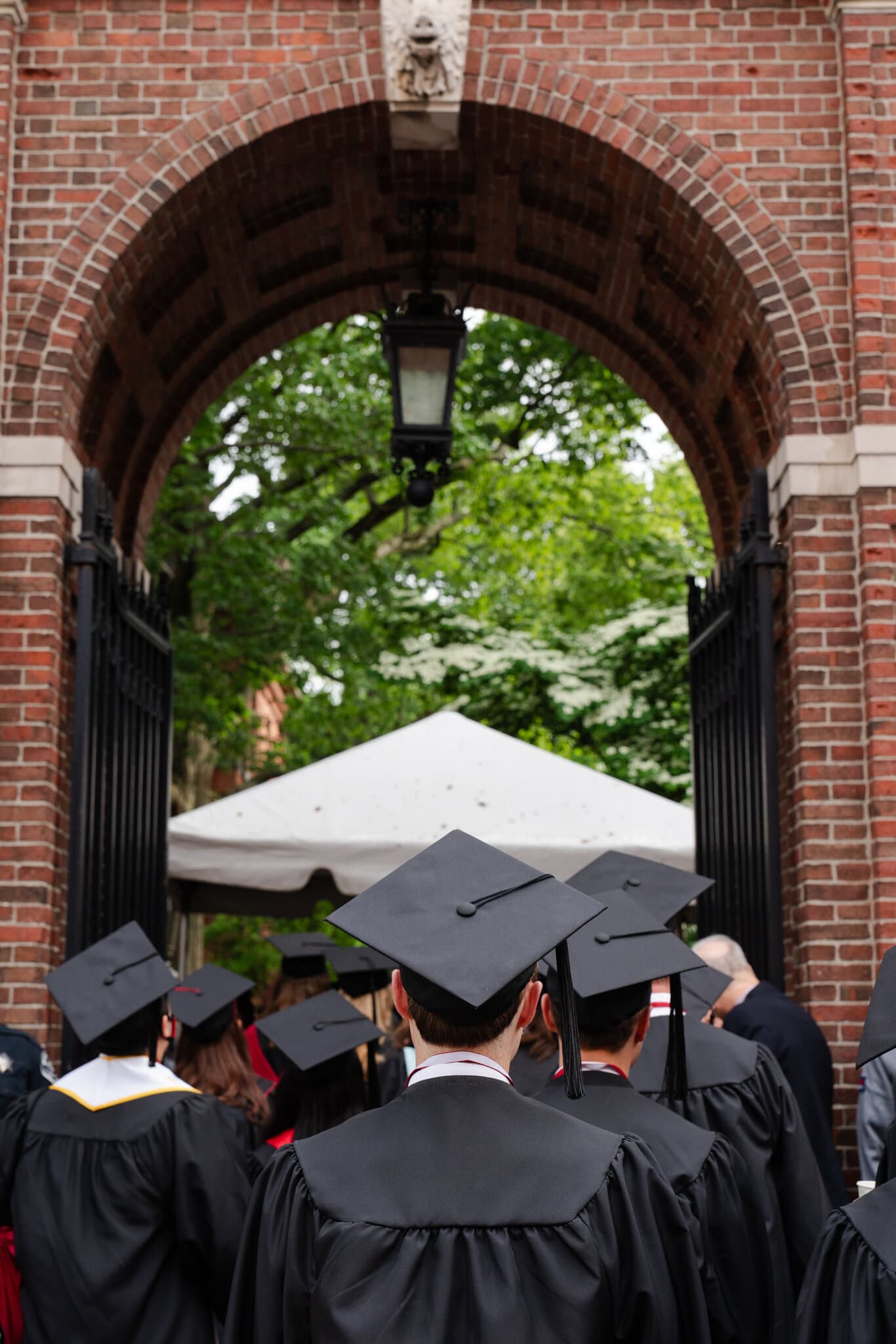 Are You an International Student Looking for Work?