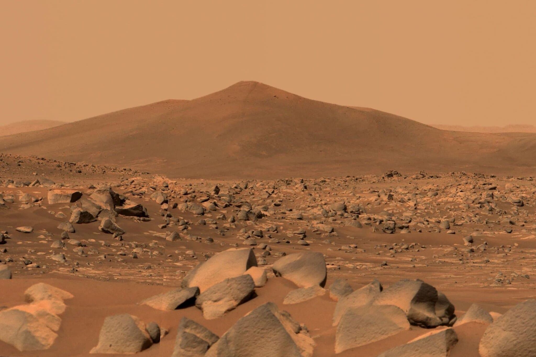 Could an Earthly Fungus Contaminate Mars? NASA May Have Found One Hardy Enough.