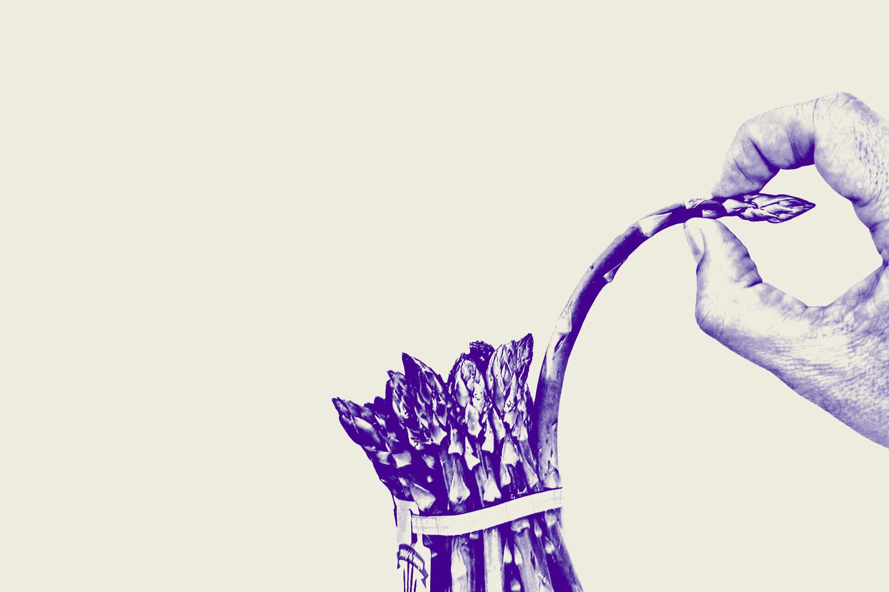 ‘The Rich Don’t Play by the Rules. So Why Should I?’