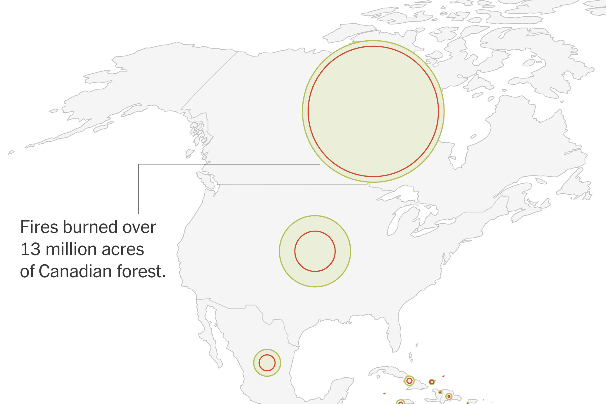 Global Deforestation Slows, Analysis Finds. But Fires Remain a Major Threat.