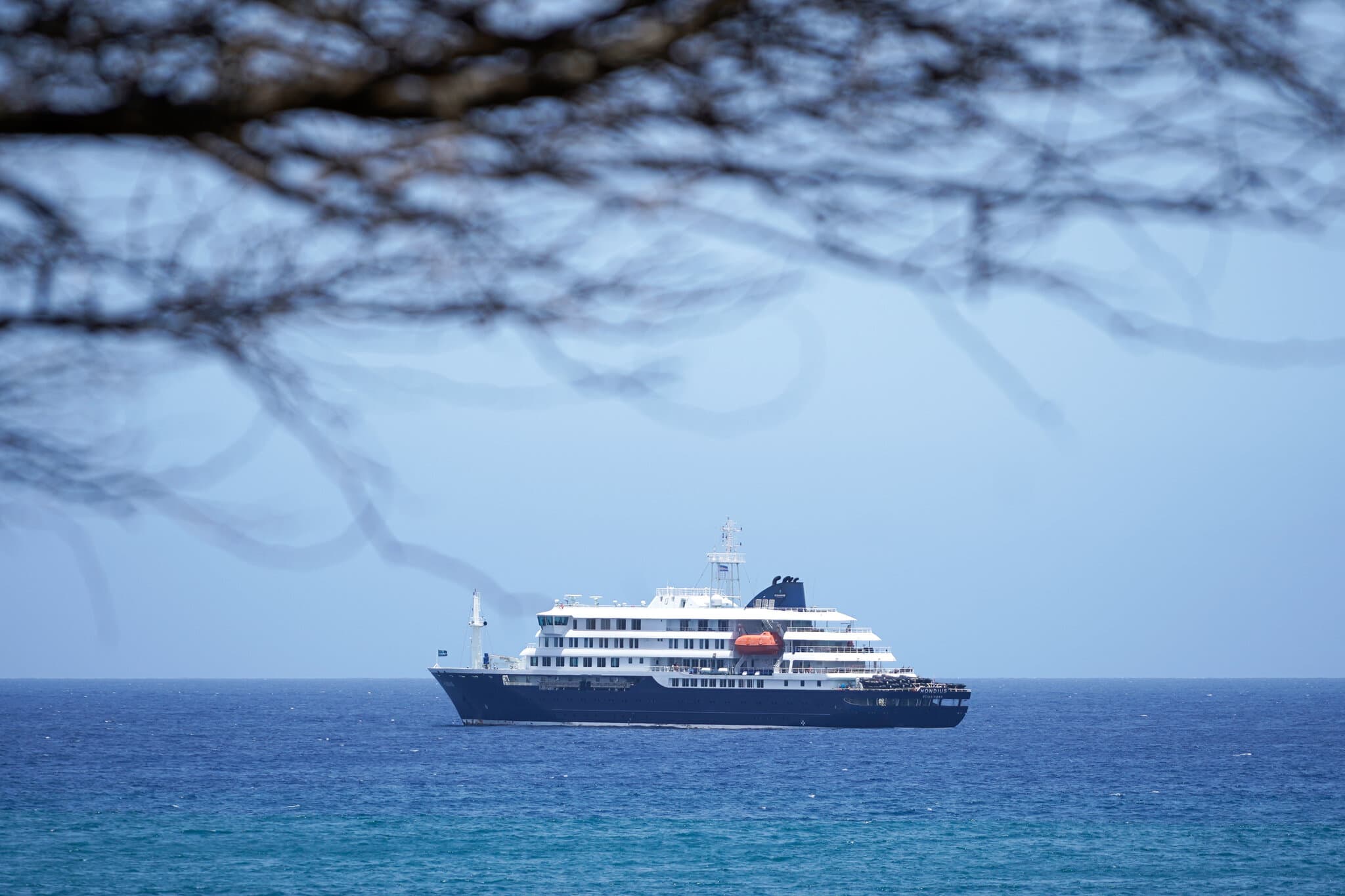 Cruise Ship Struck by Hantavirus Remains at Sea