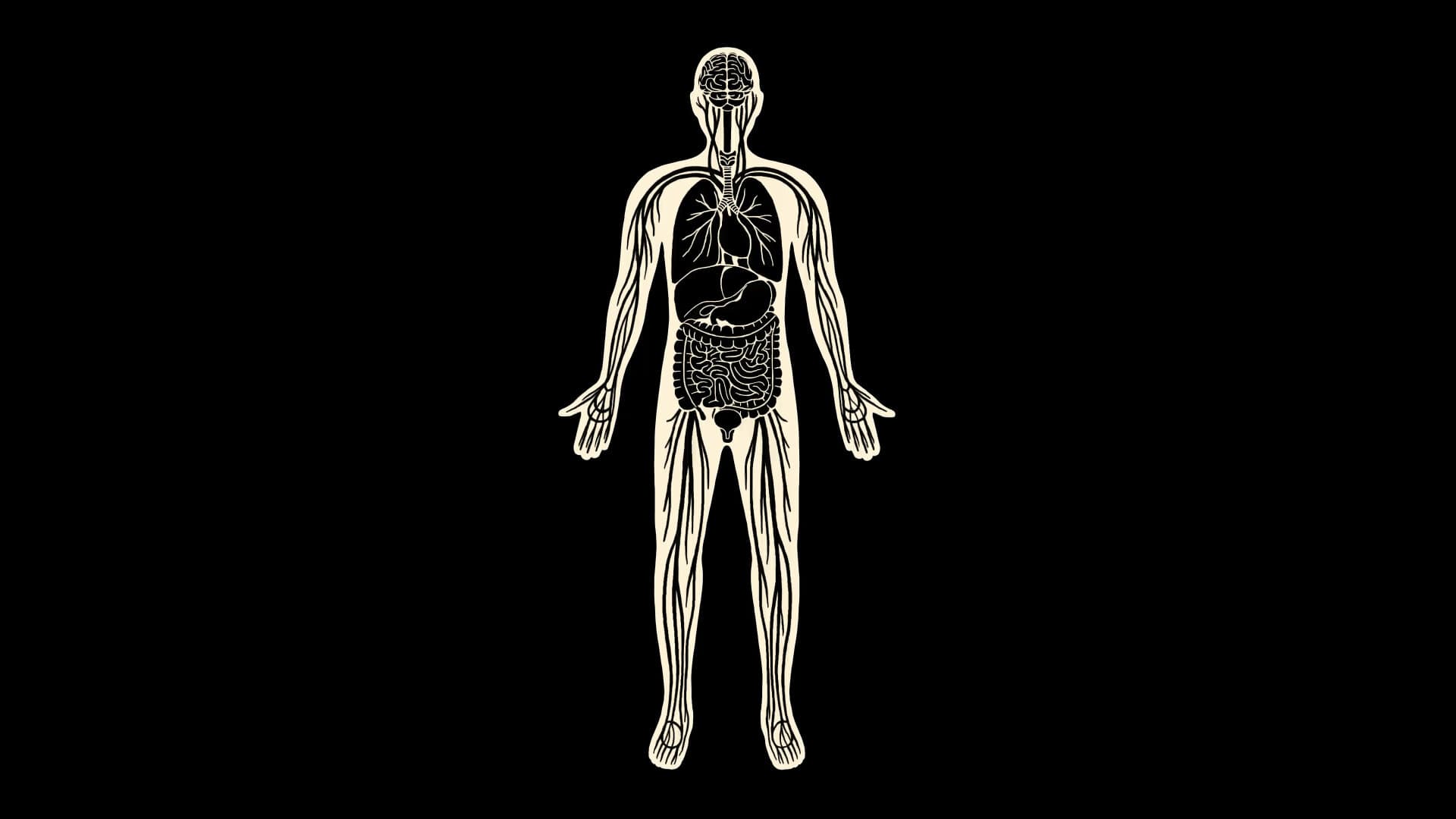 The Astounding Discovery That Could Link Eastern and Western Medicine