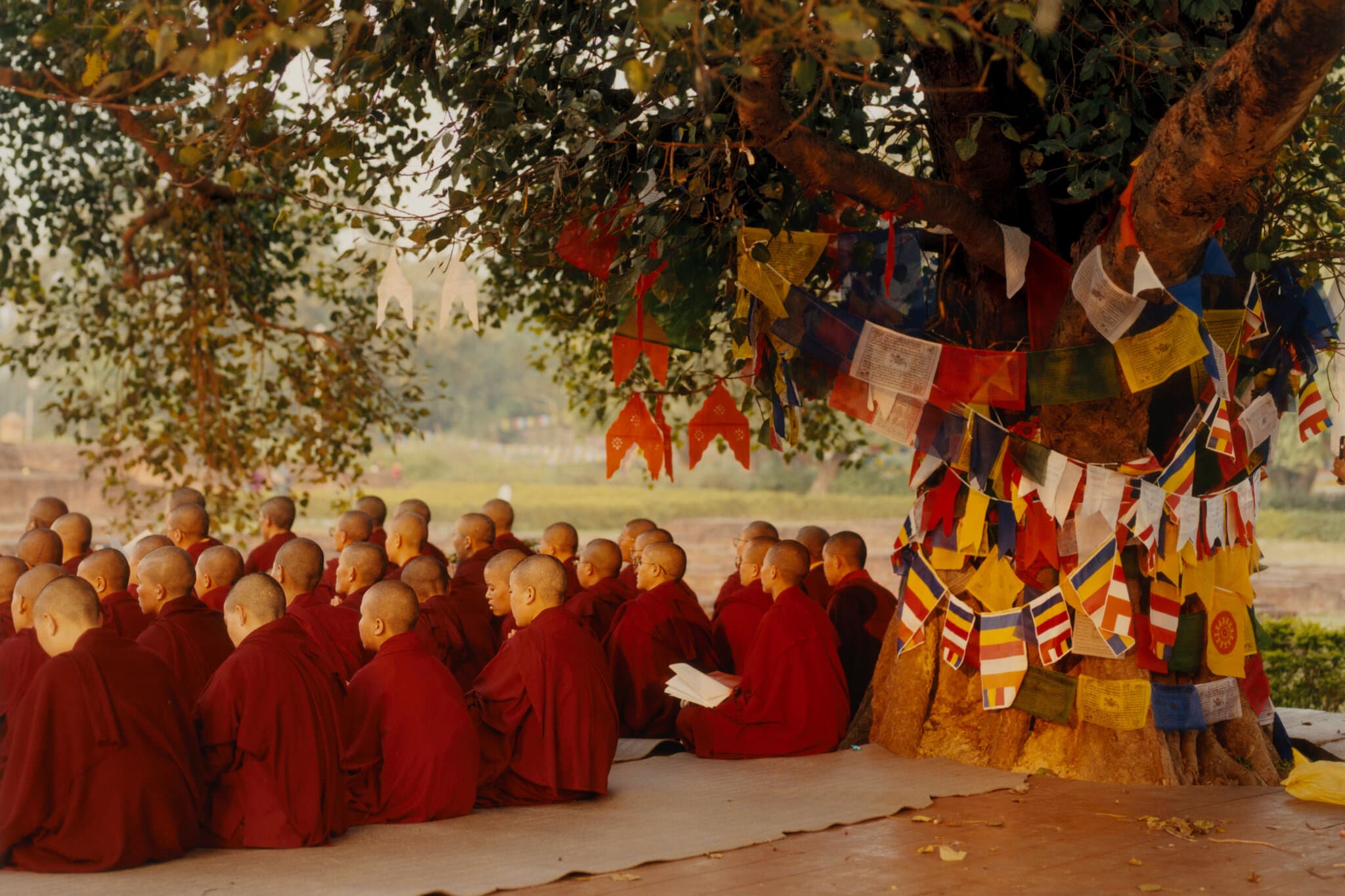 Life, Death and Rebirth in the Land of the Buddha