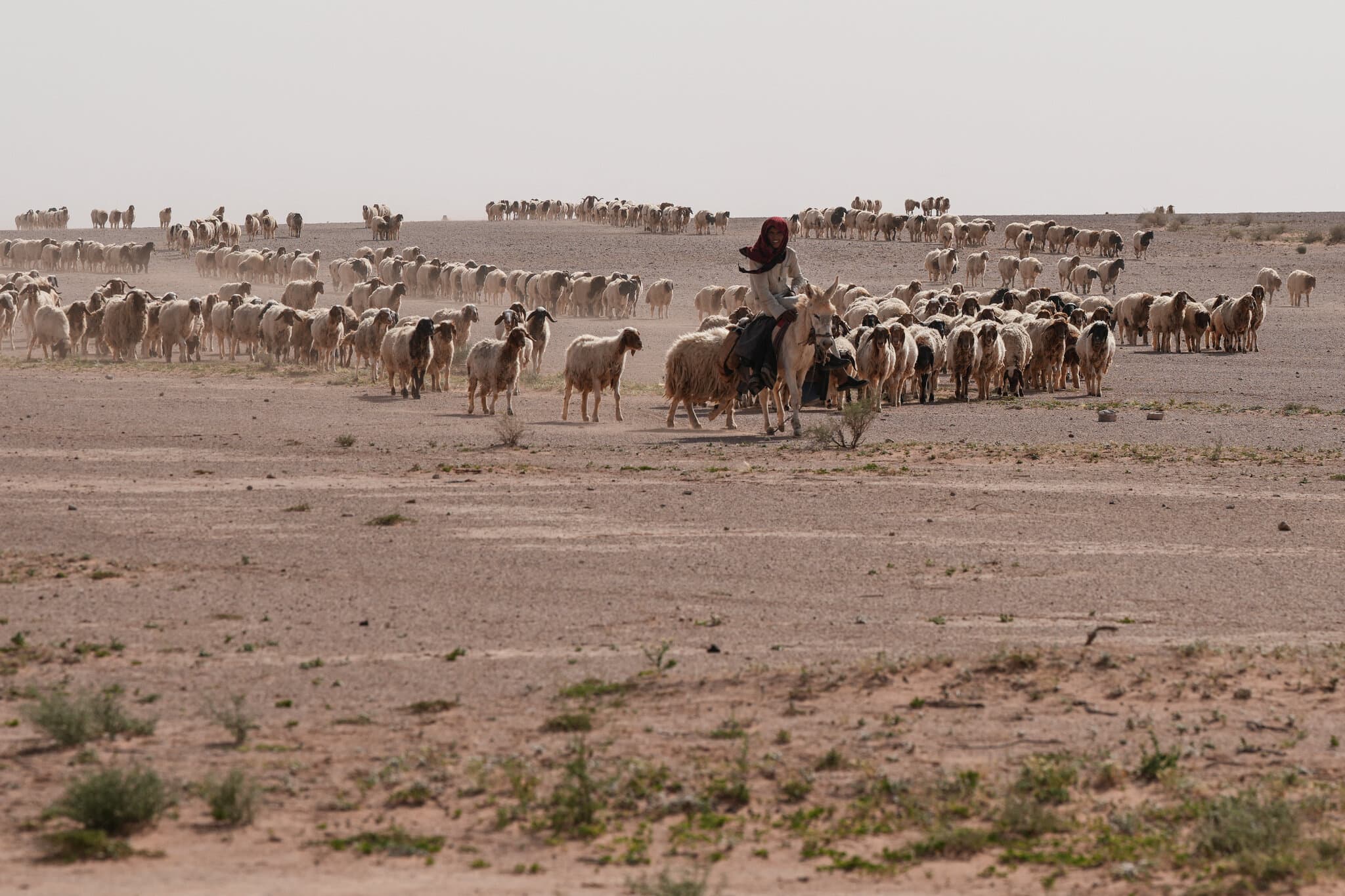 In Iraqi Desert, Two Israeli Outposts Were Kept Secret for Months