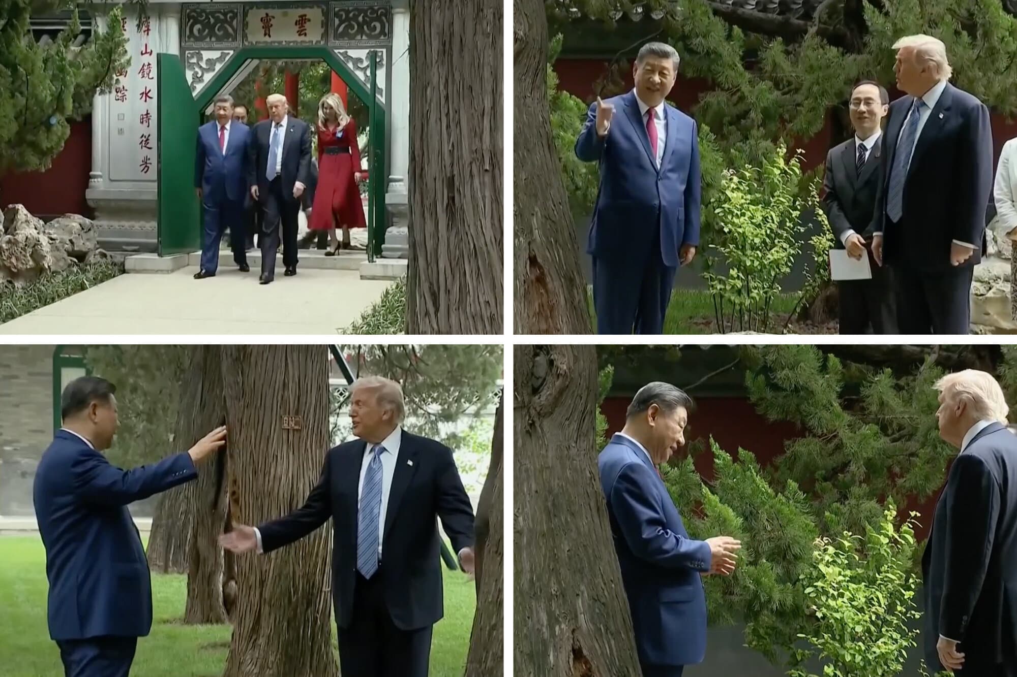 ‘For Example, Putin’: How Xi Used a Private Garden Walk to Charm Trump