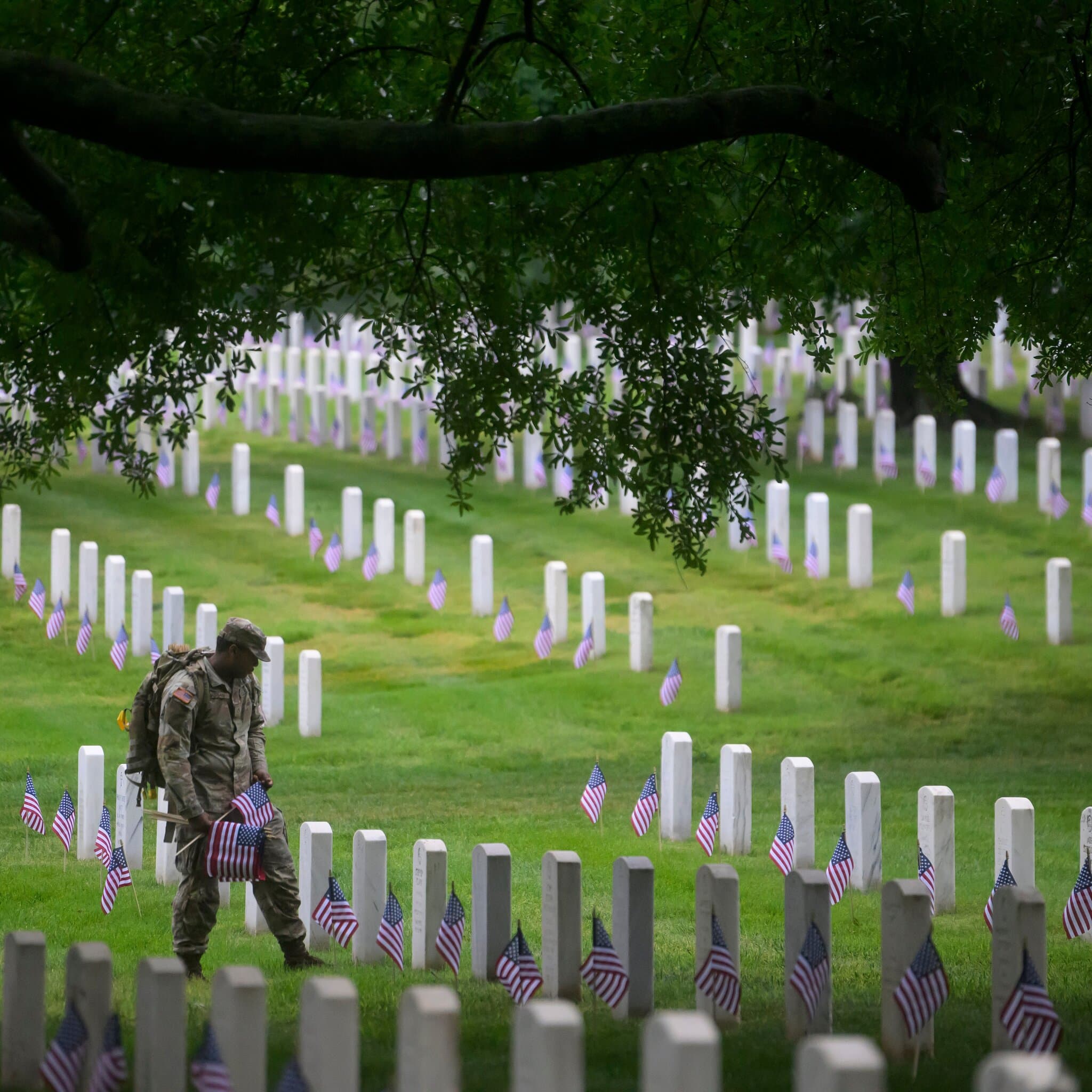 A Poem for Memorial Day