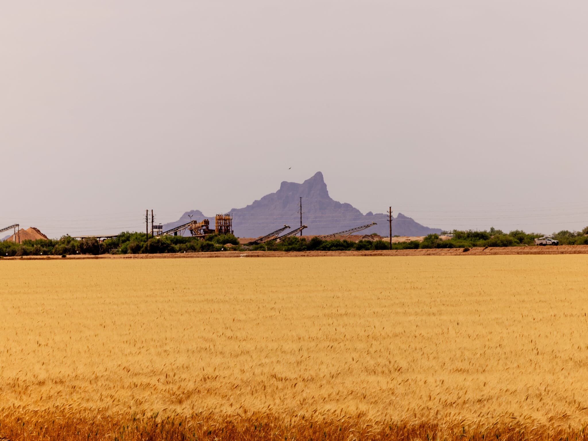 Two of America’s Thorniest Political Issues Are Dividing an Arizona Town