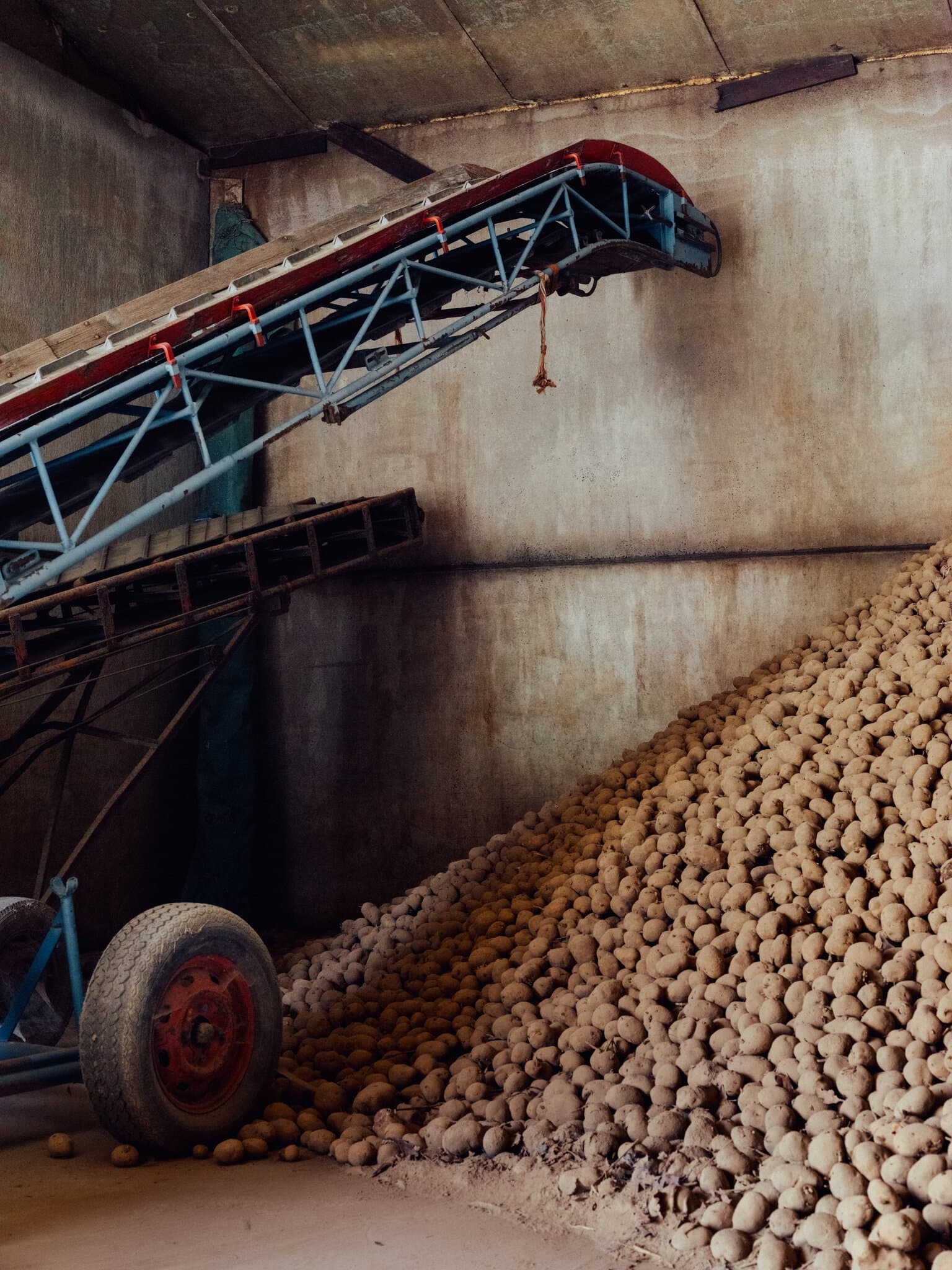 The World Capital of French Fries Has a Problem: Too Many Potatoes