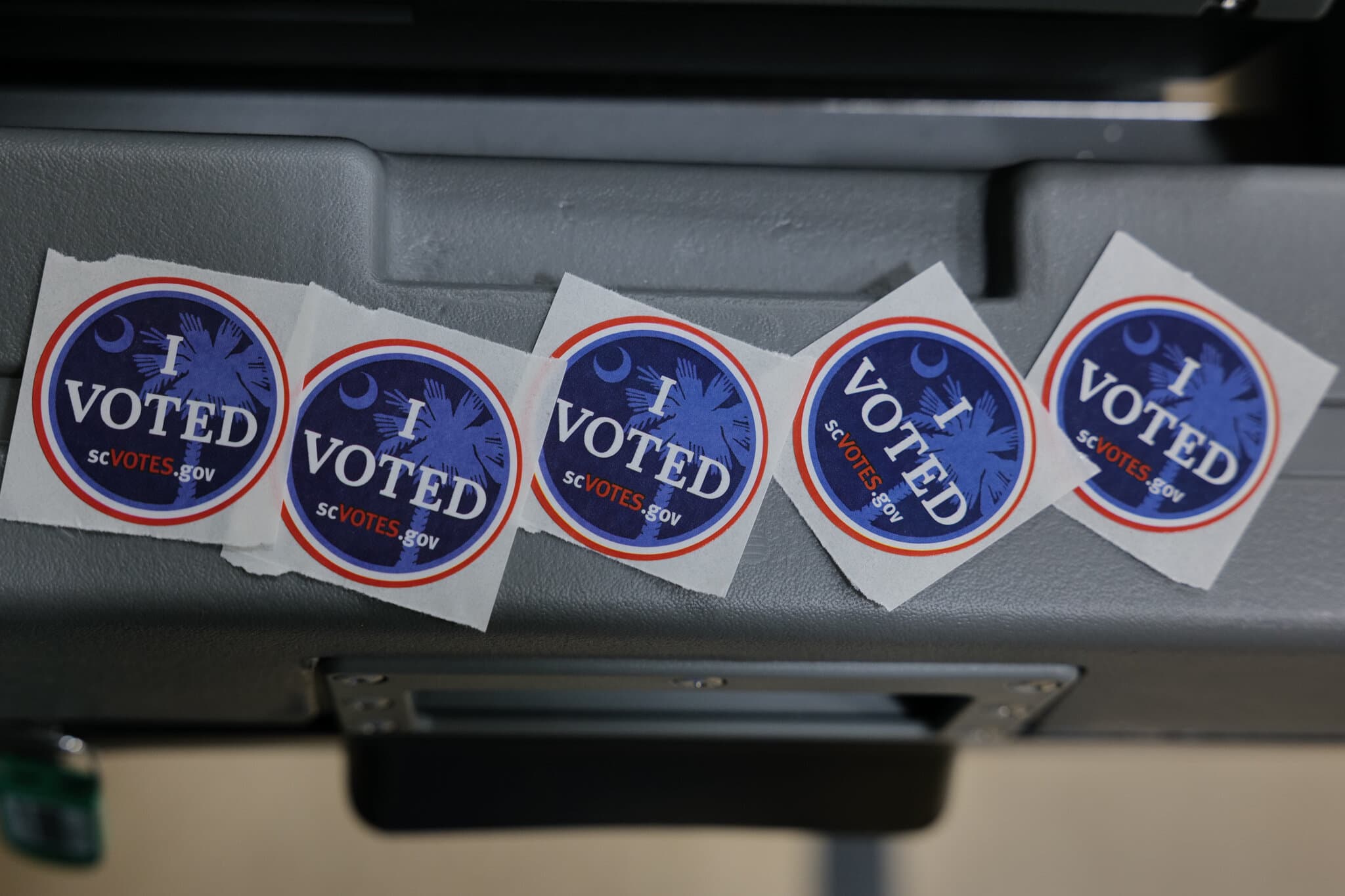 South Carolina Race Tests the Strength of a Trump Endorsement