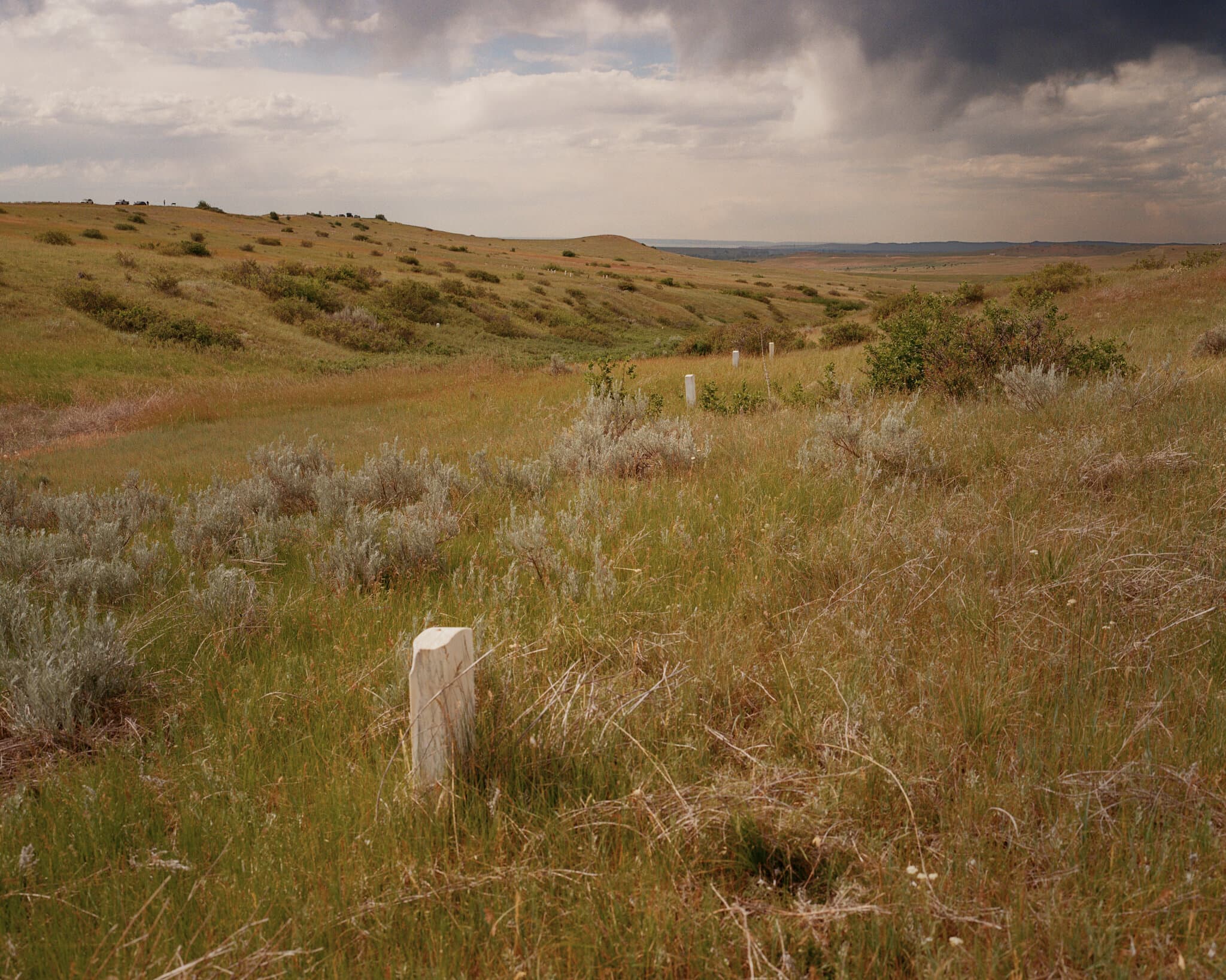 For Heirs of Custer and Sitting Bull, a 150-Year-Old Battle Is Personal