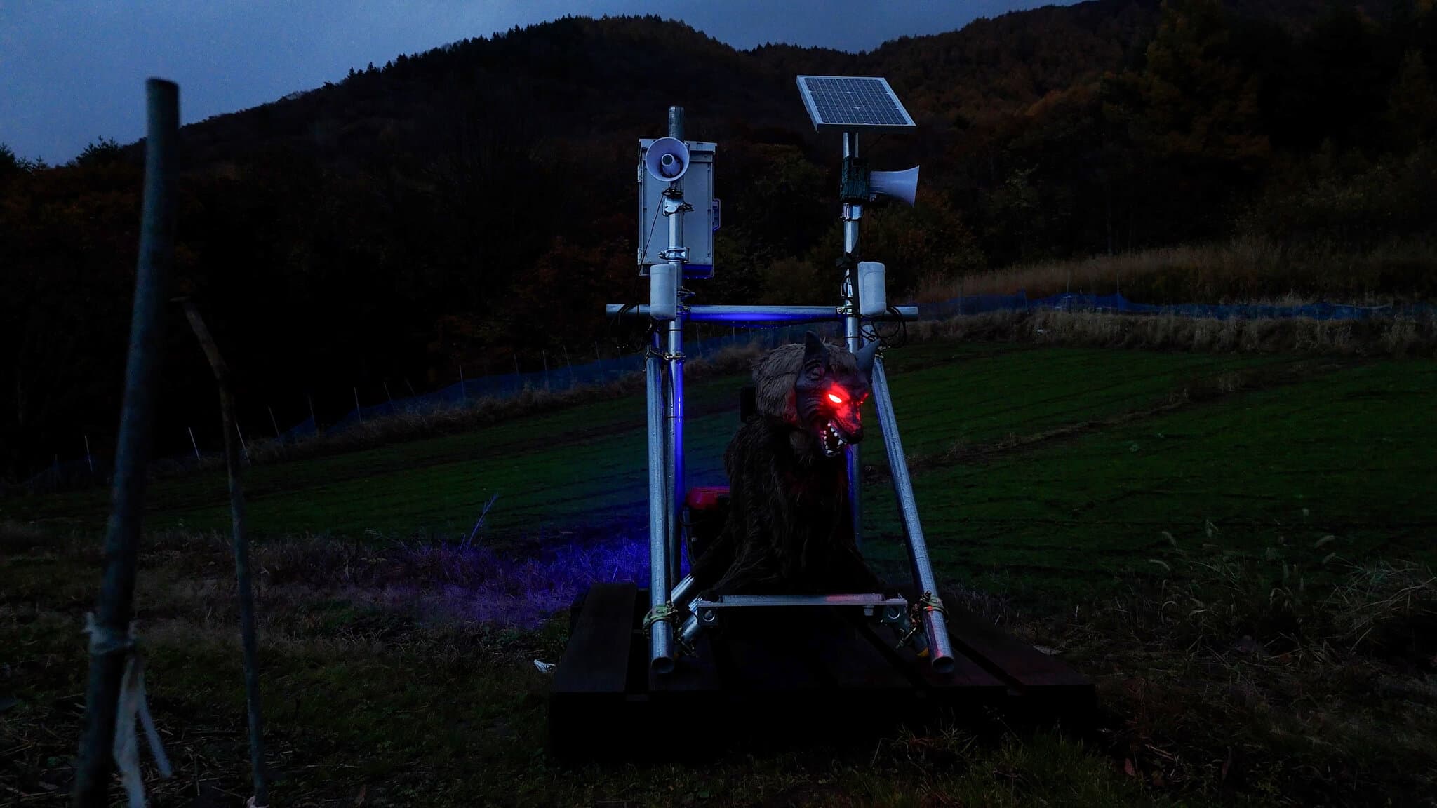 Can Robots Save an Aging Japan?