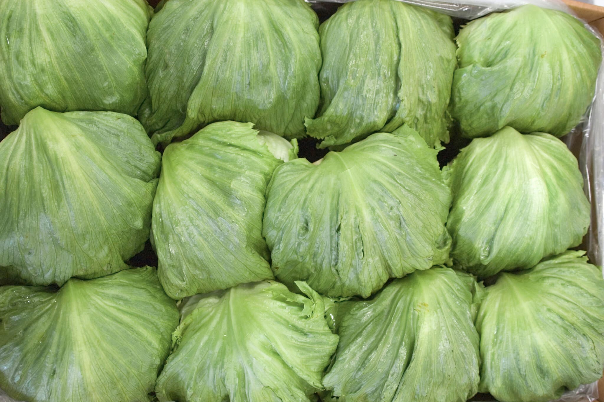 Taylor Farms to Remove Some Products After Link to Cyclospora Cases