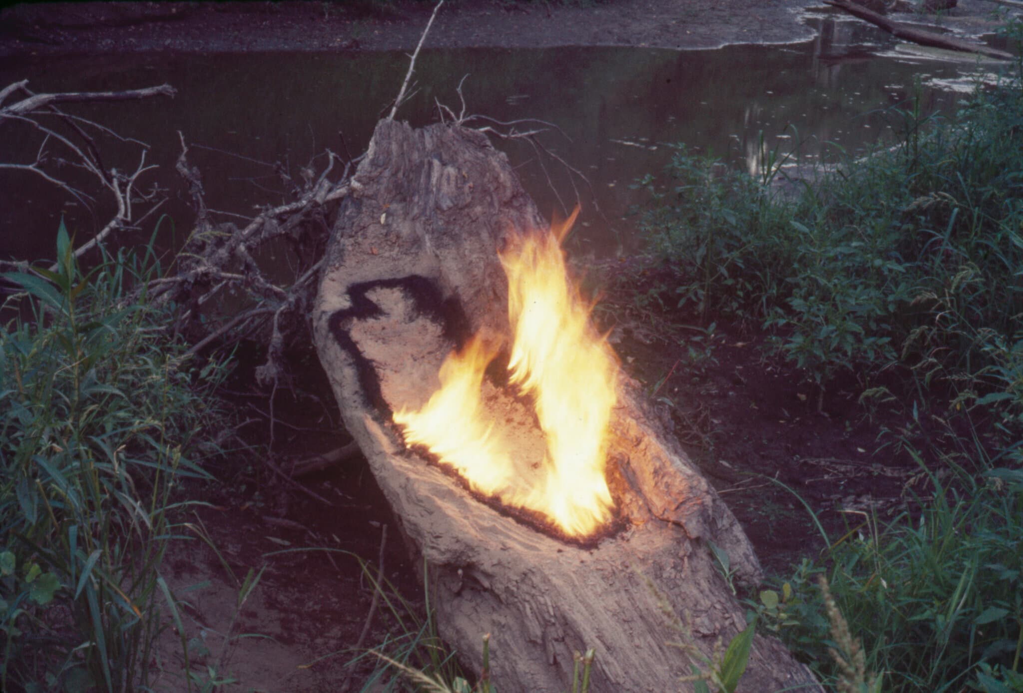 The Burning, Bleeding, Breathing Art of Ana Mendieta