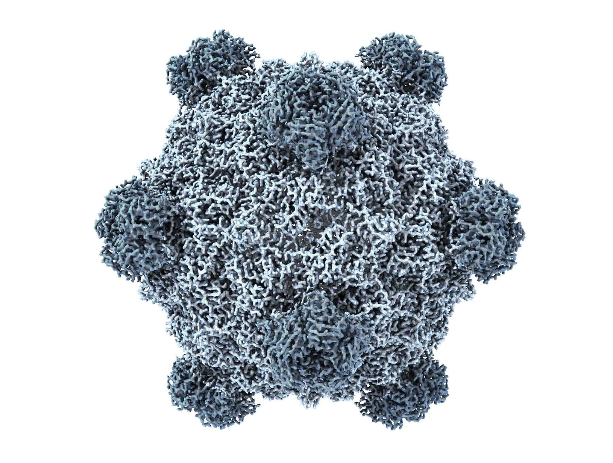 This A.I. Just Created Viruses Not Found in Nature