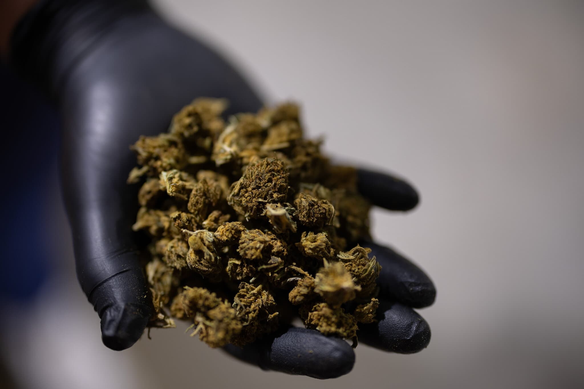 Trump Seeks a Boost for Hemp That Would Benefit a Top Aide’s Family