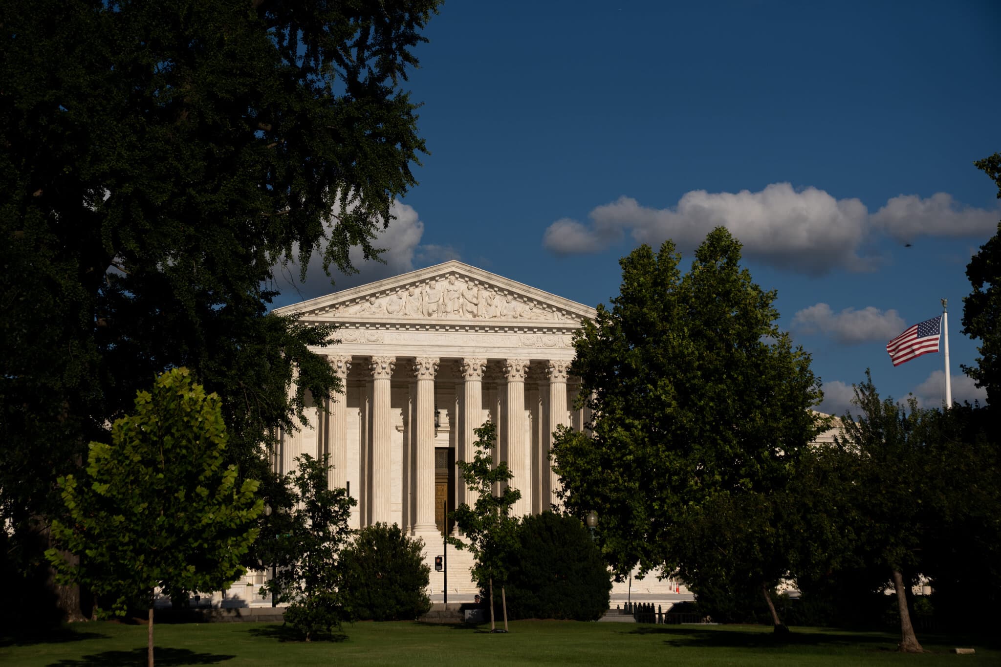 An Unlikely Emergency Appeal to the Supreme Court From a Dog Named Bruce