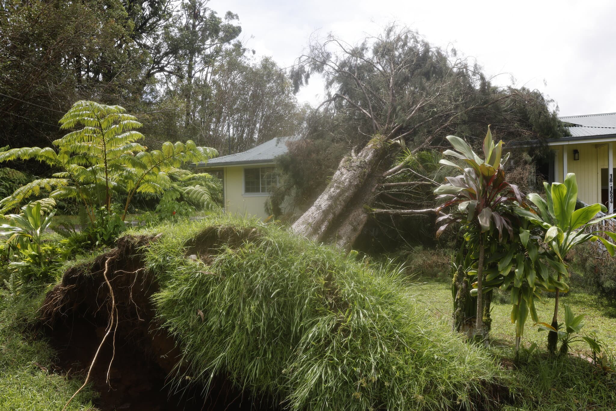 What We Know About Damages From Hurricane Lala in Hawaii