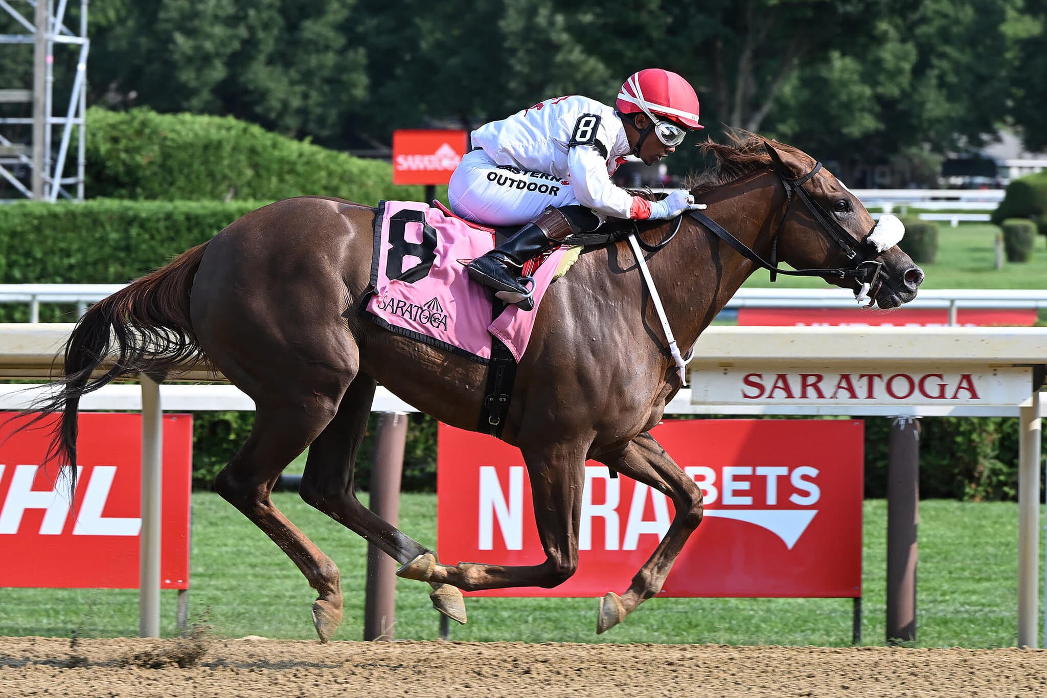 The ‘Betting Coup’ Shaking Up Horse Racing