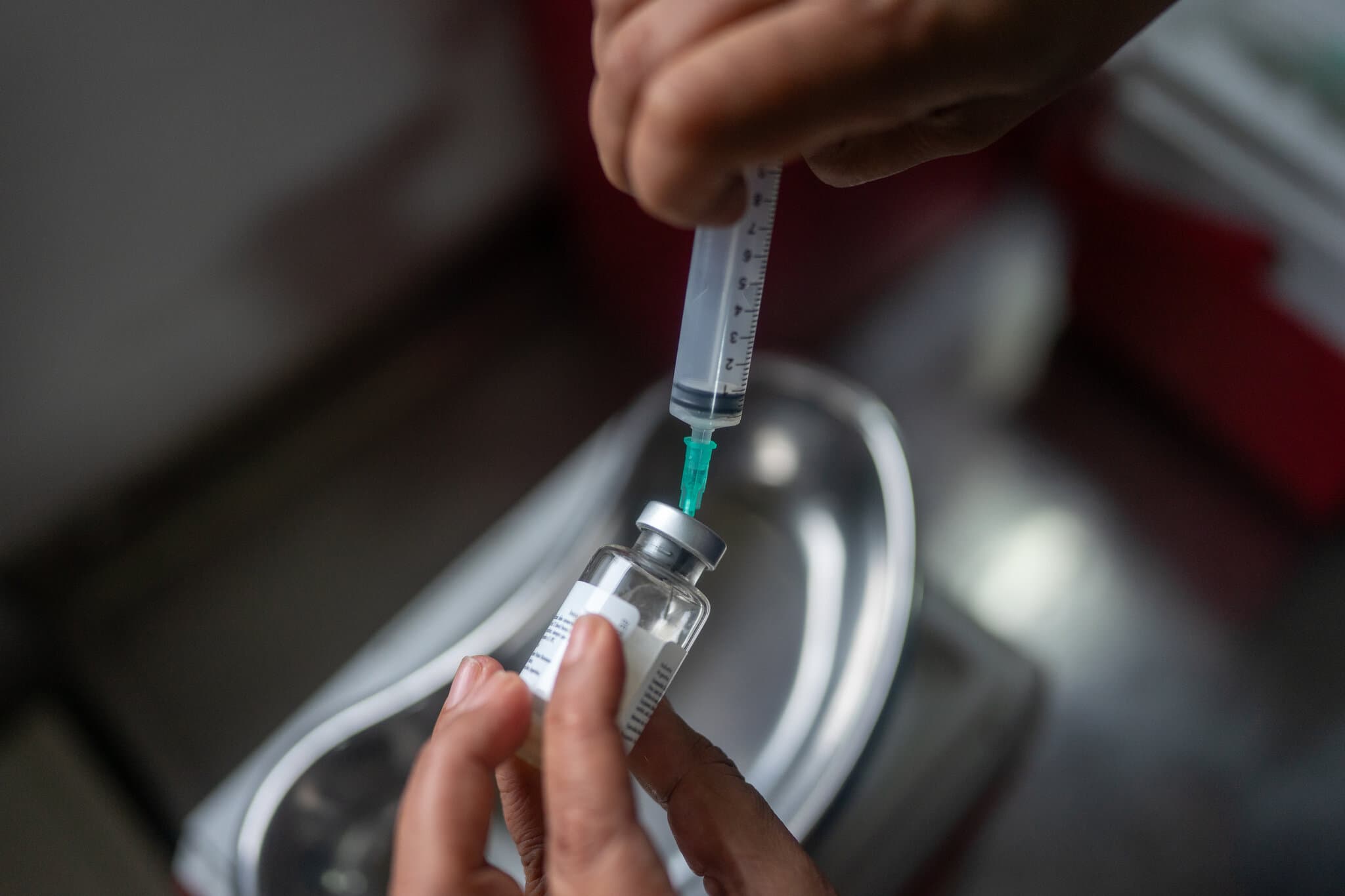 Rare South American Diseases Offer Clues on the Next Pandemic