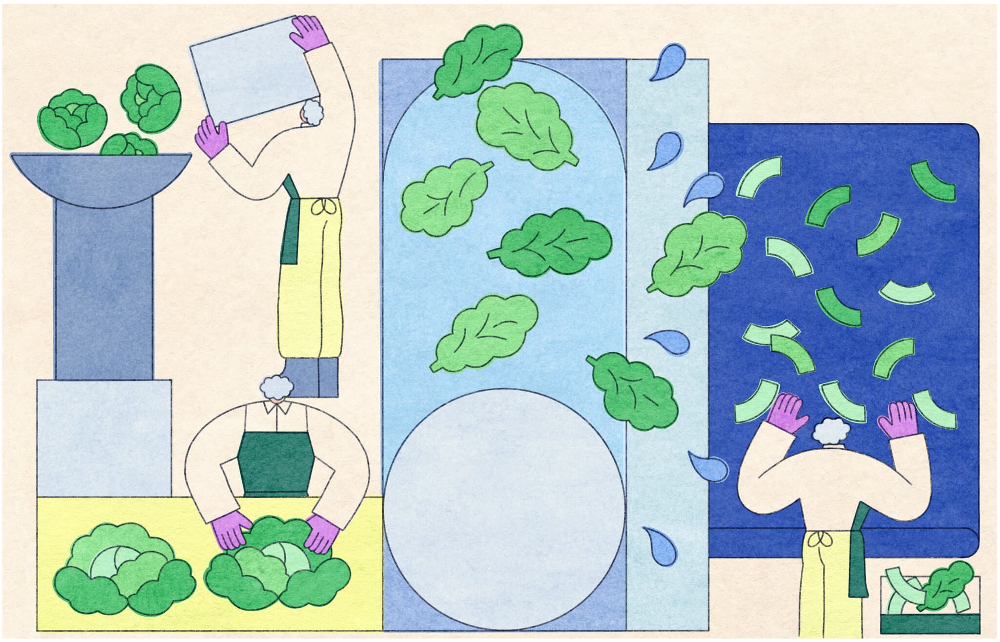 9 Vulnerable Moments in the Life of a Bagged Salad