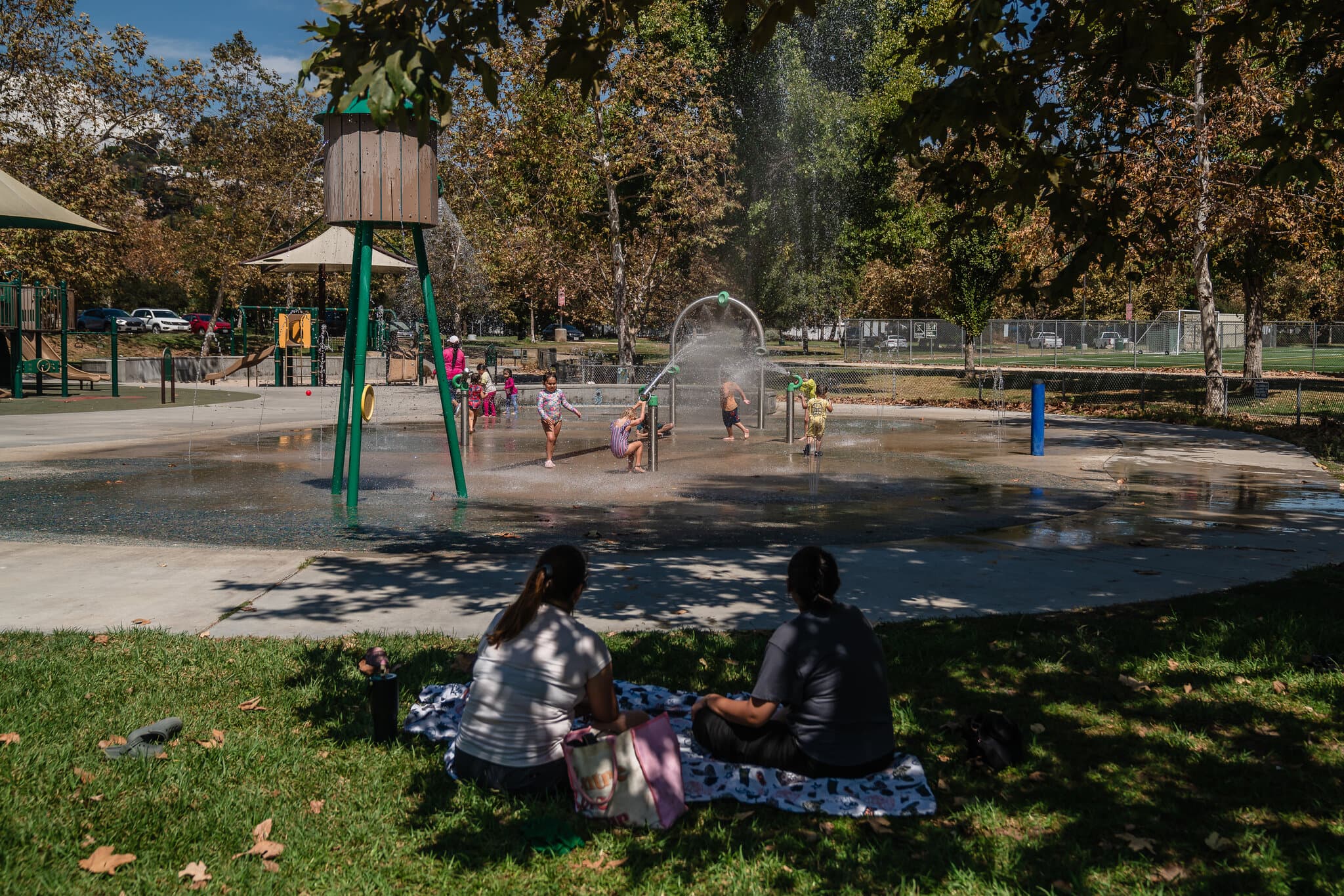 Summer Weather in L.A. Was Perfect. Then Came Humidity and Mosquitoes.