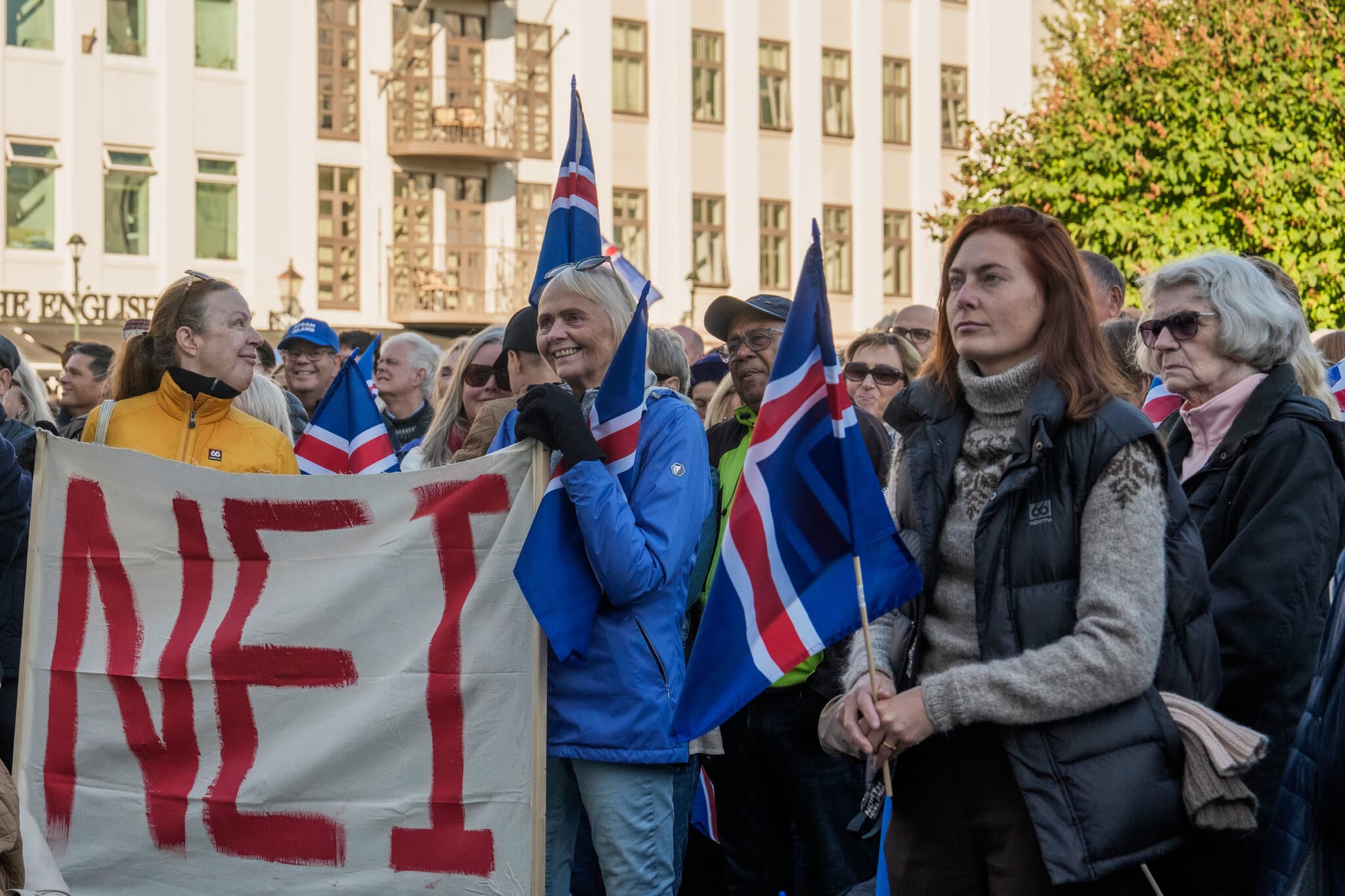 Icelanders Are Voting on E.U. Membership Talks. Here’s What to Know.