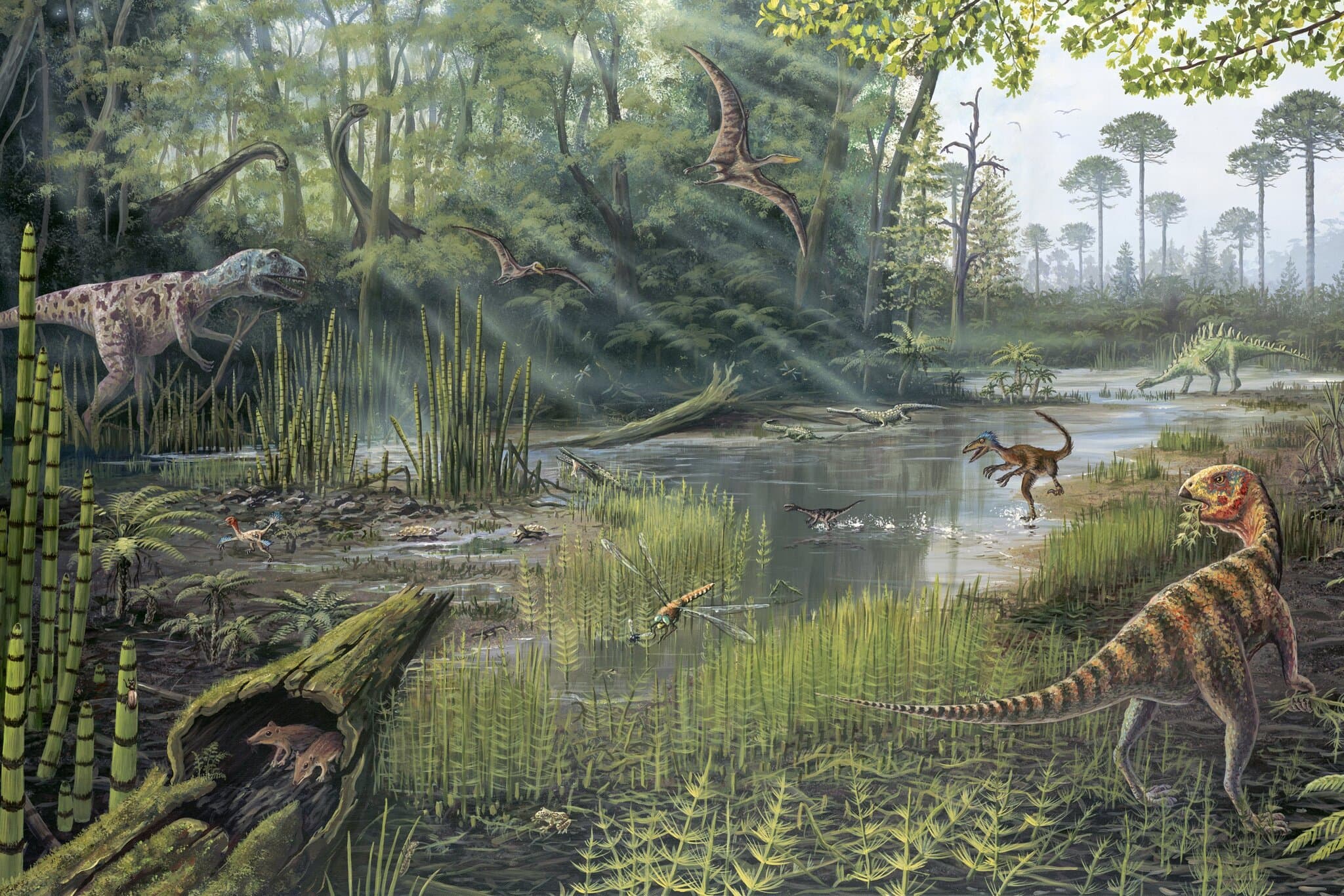 What Did Jurassic Forests Sound Like? Like This.